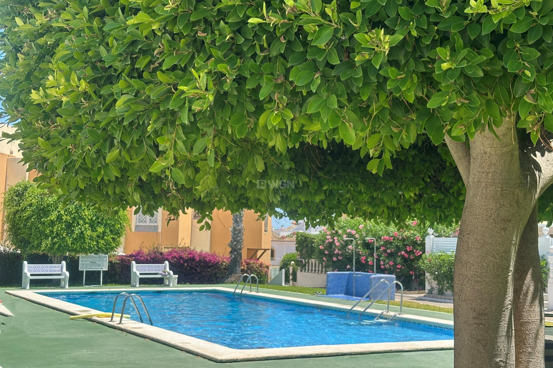 Odsprzedaż - Bungalow - Torrevieja - La Mata