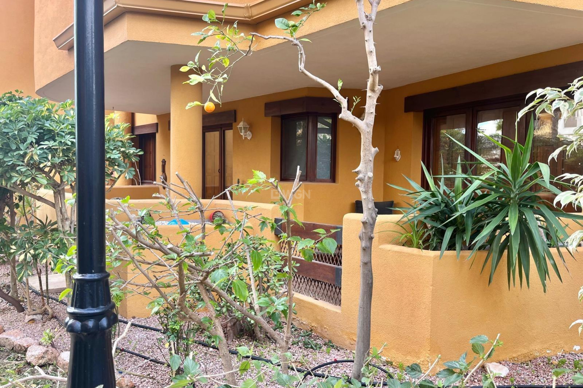 Odsprzedaż - Bungalow - Torrevieja - Punta Prima