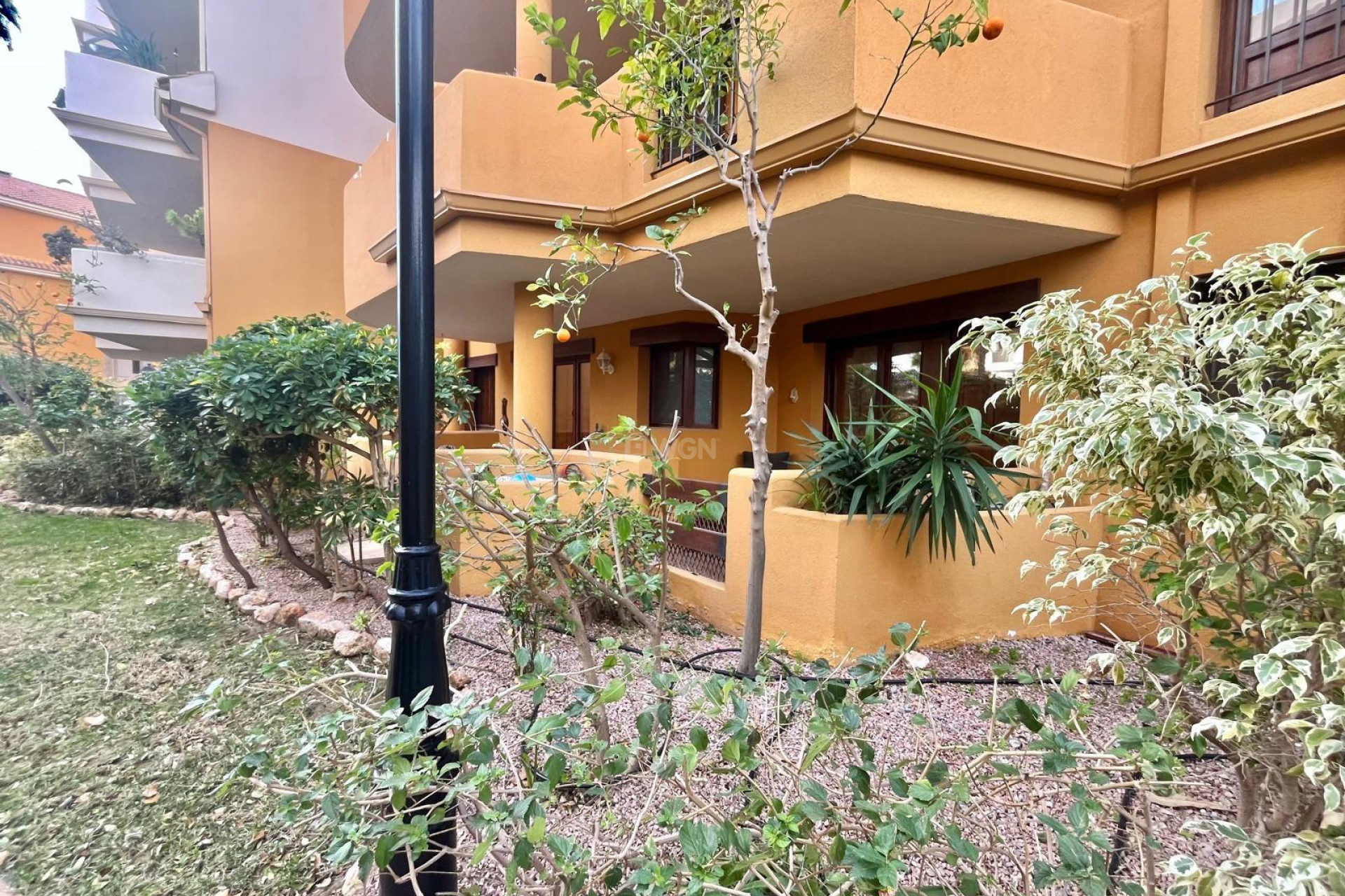 Odsprzedaż - Bungalow - Torrevieja - Punta Prima