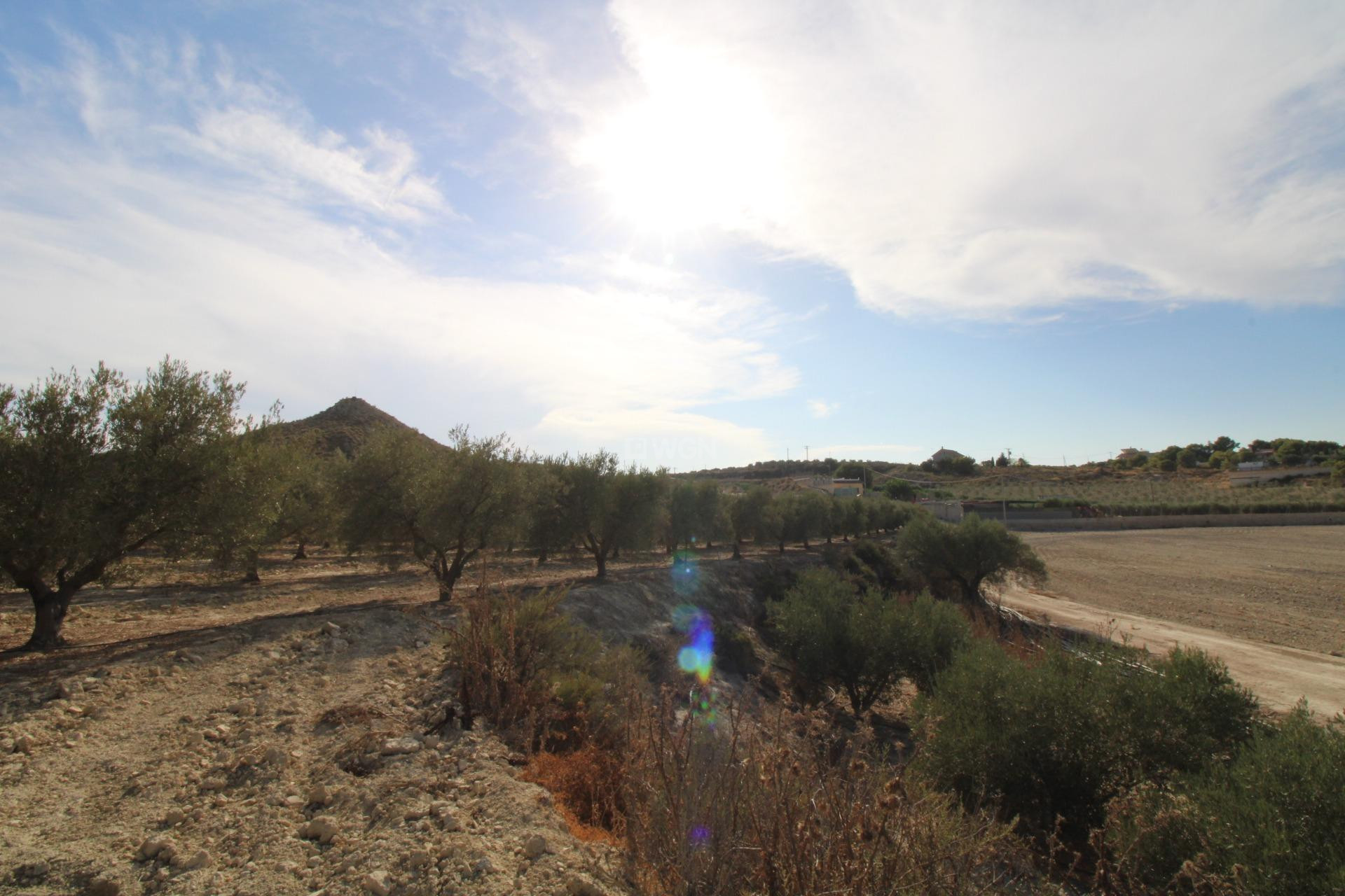 Odsprzedaż - Casa con terreno - Murcia - Cañadas de San Pedro
