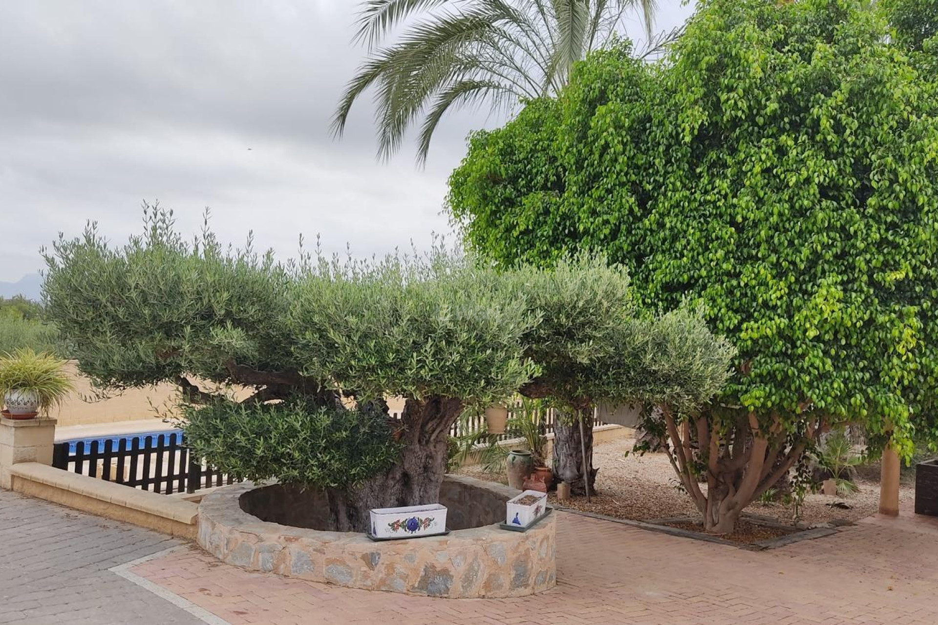 Odsprzedaż - Casa con terreno - Murcia - Cañadas de San Pedro
