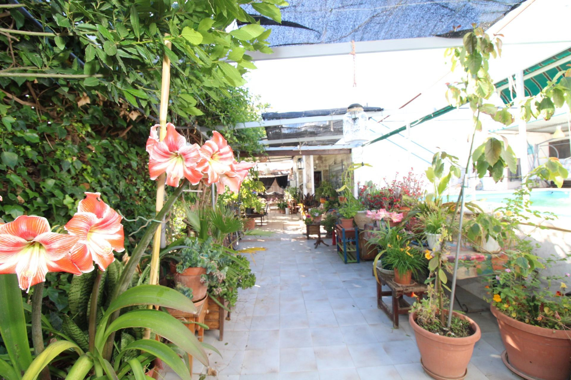 Odsprzedaż - Casa con terreno - San Javier - El Mirador-pozo Aledo