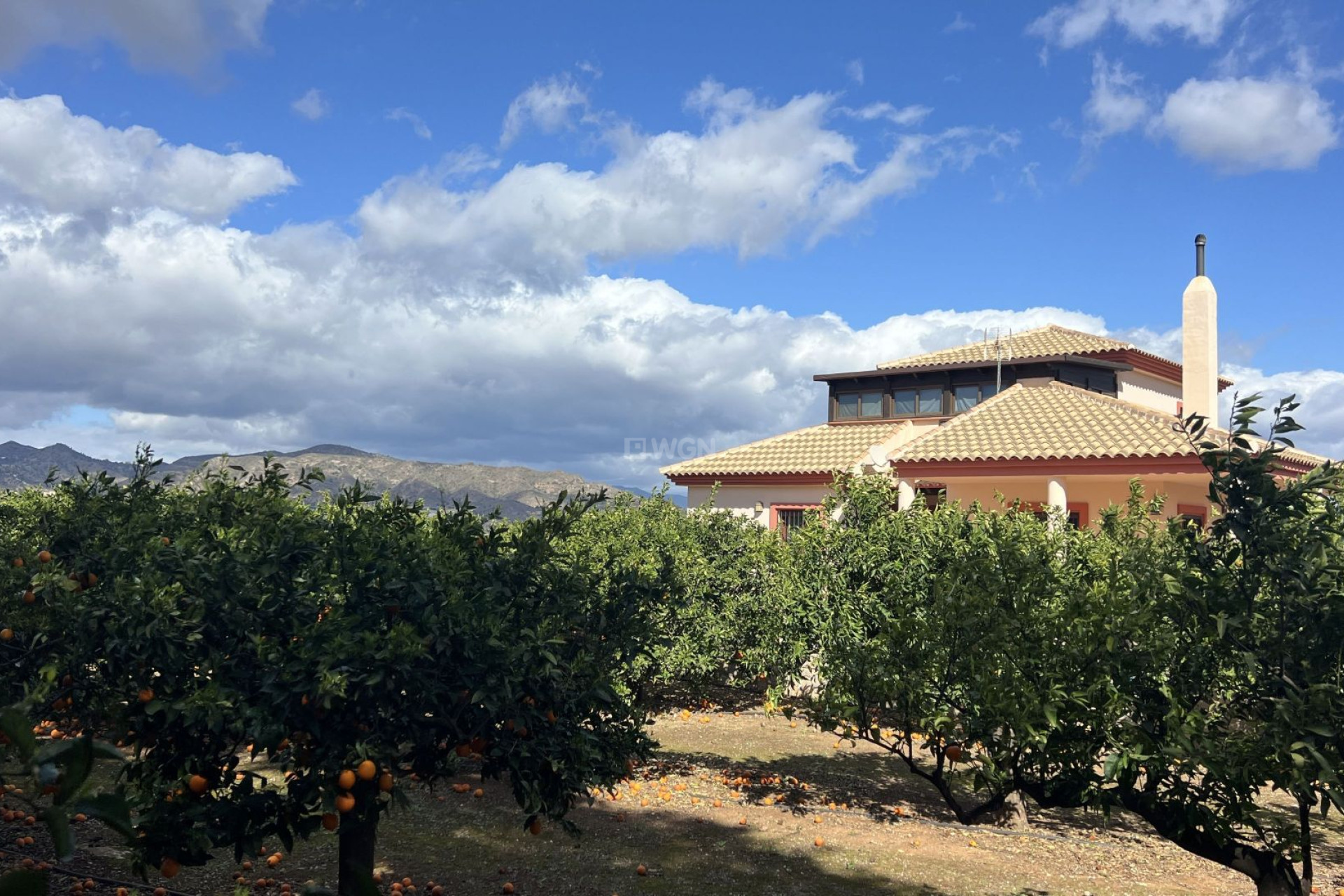 Odsprzedaż - Country House - Alhaurín de la Torre - Inland