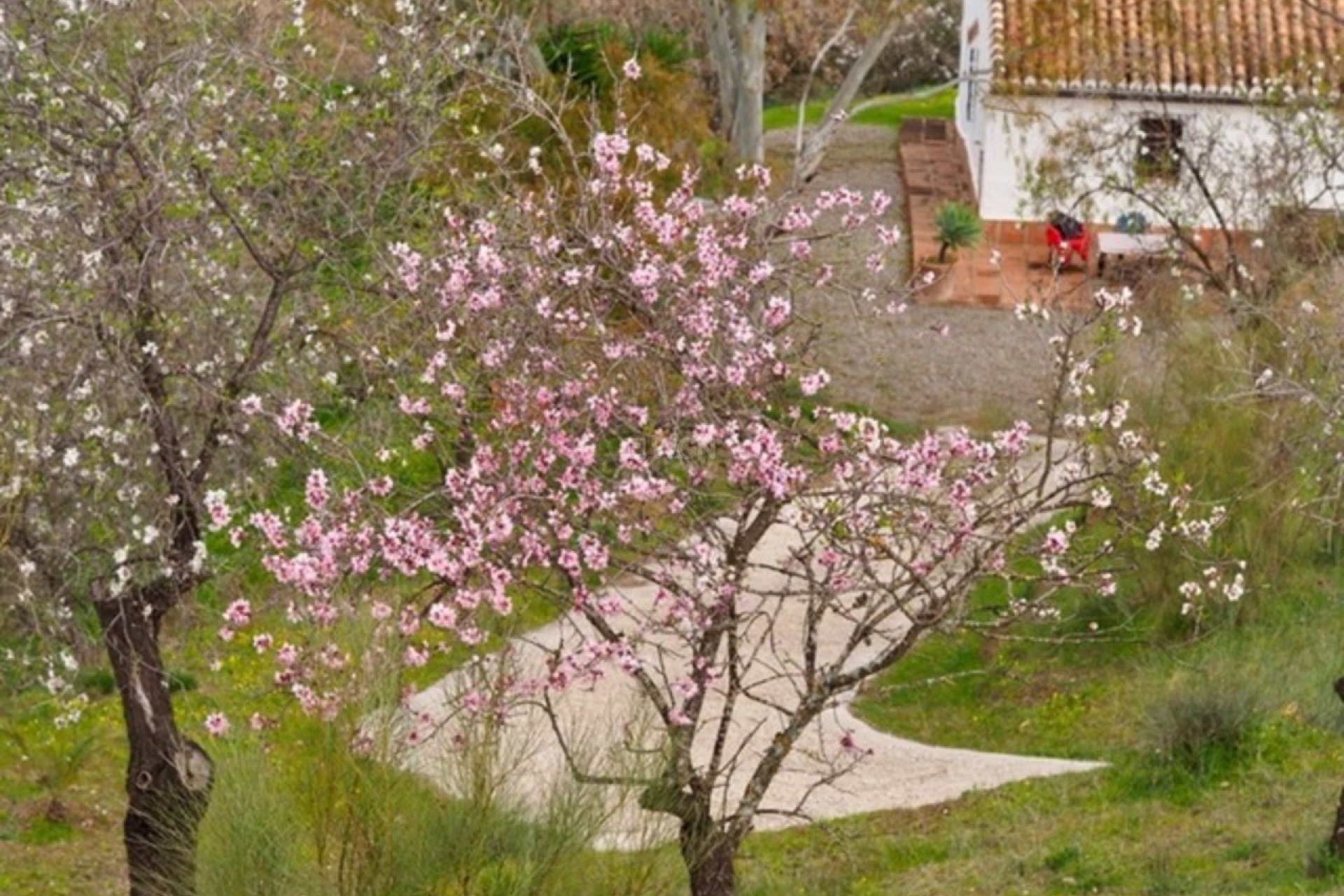 Odsprzedaż - Country House - Alora - Inland