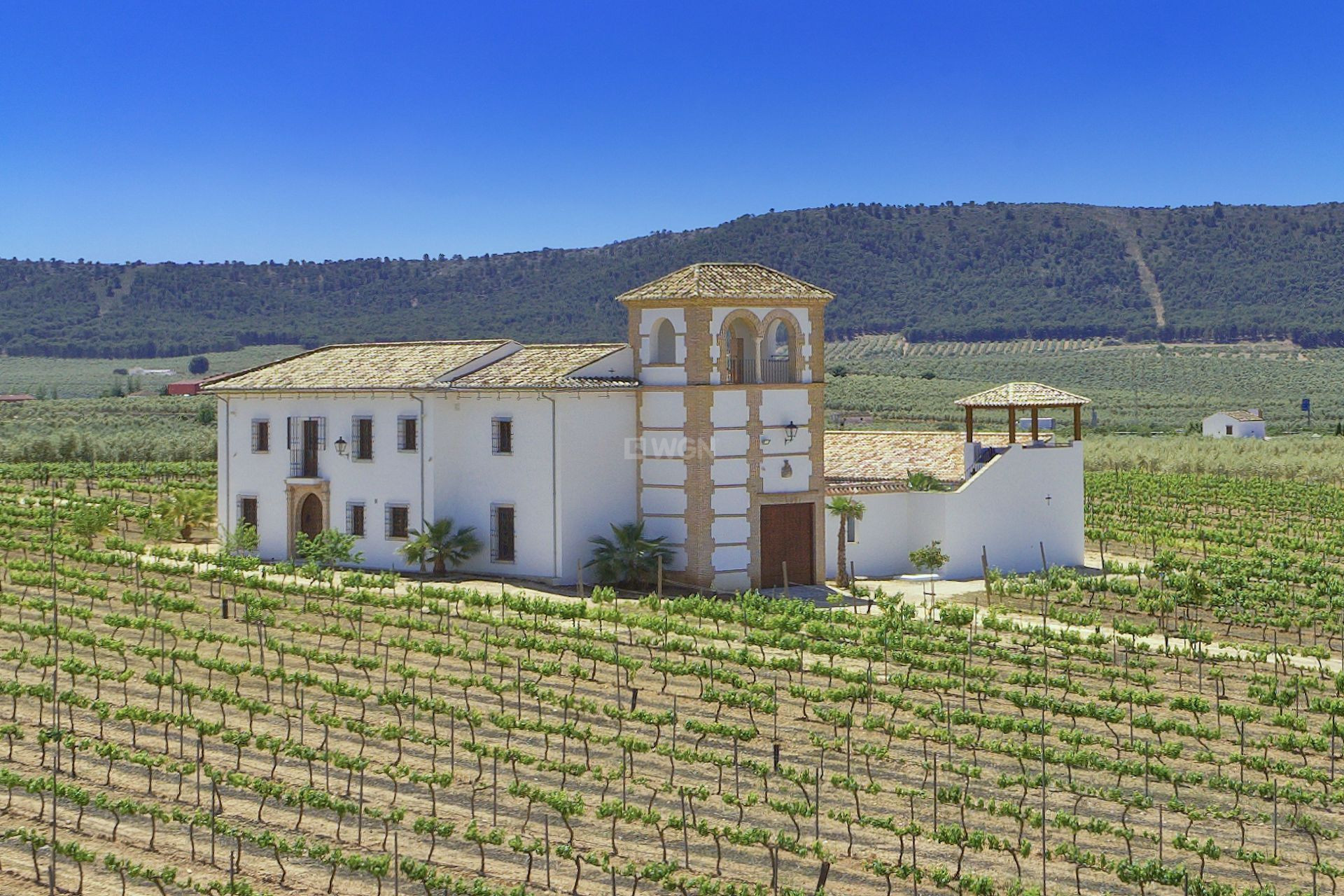 Odsprzedaż - Country House - Antequera - Inland