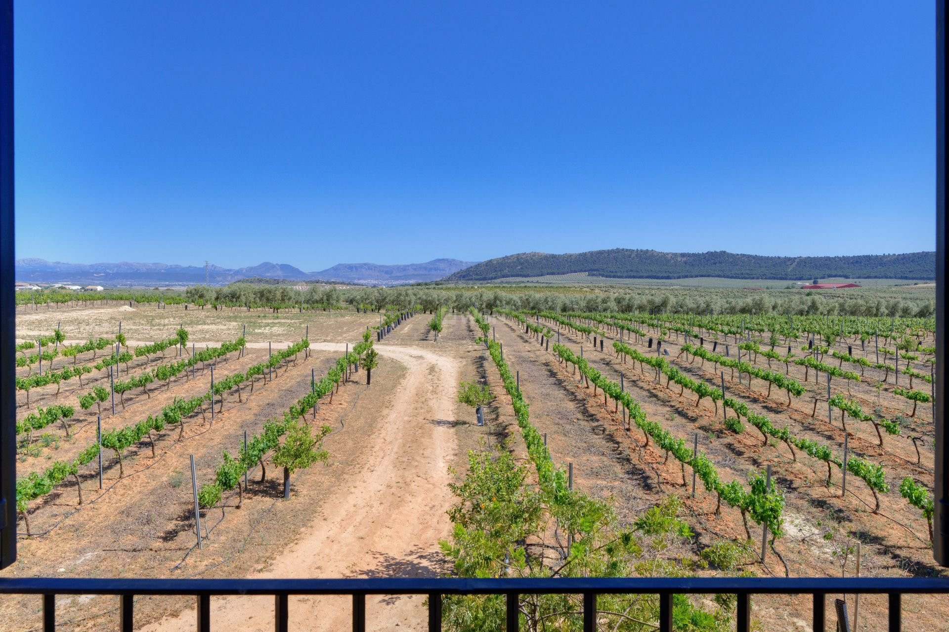 Odsprzedaż - Country House - Antequera - Inland