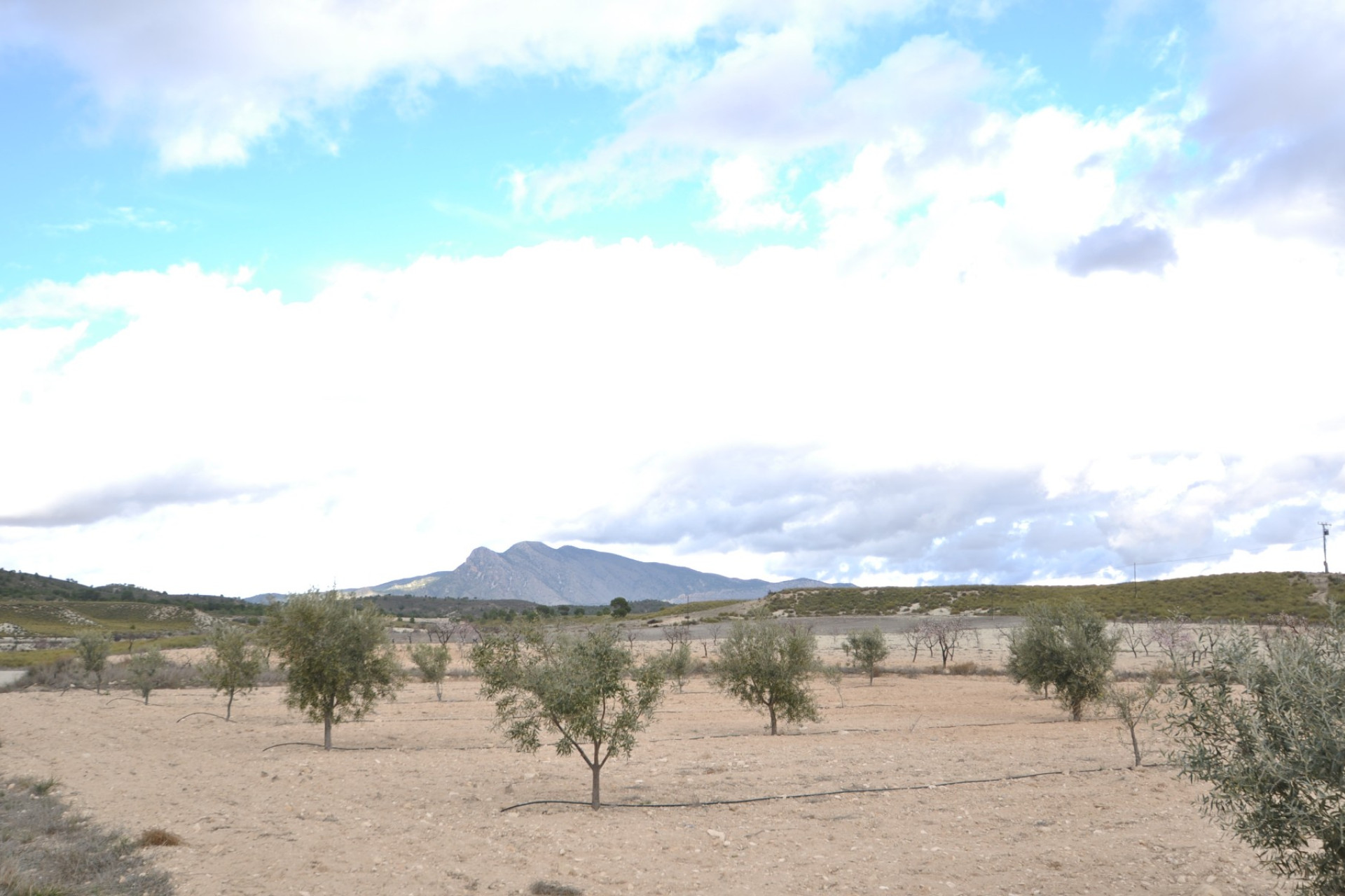 Odsprzedaż - Country House - Jumilla - Inland