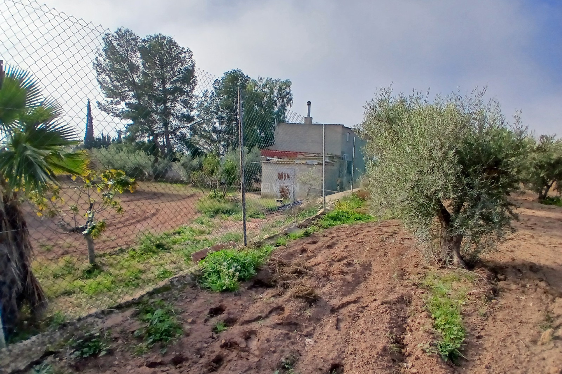 Odsprzedaż - Country House - Jumilla - Inland