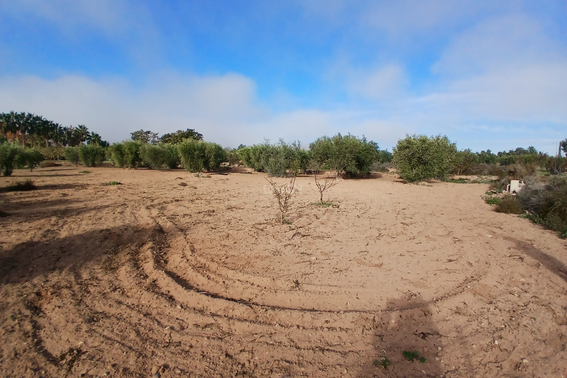 Odsprzedaż - Country House - Jumilla - Inland