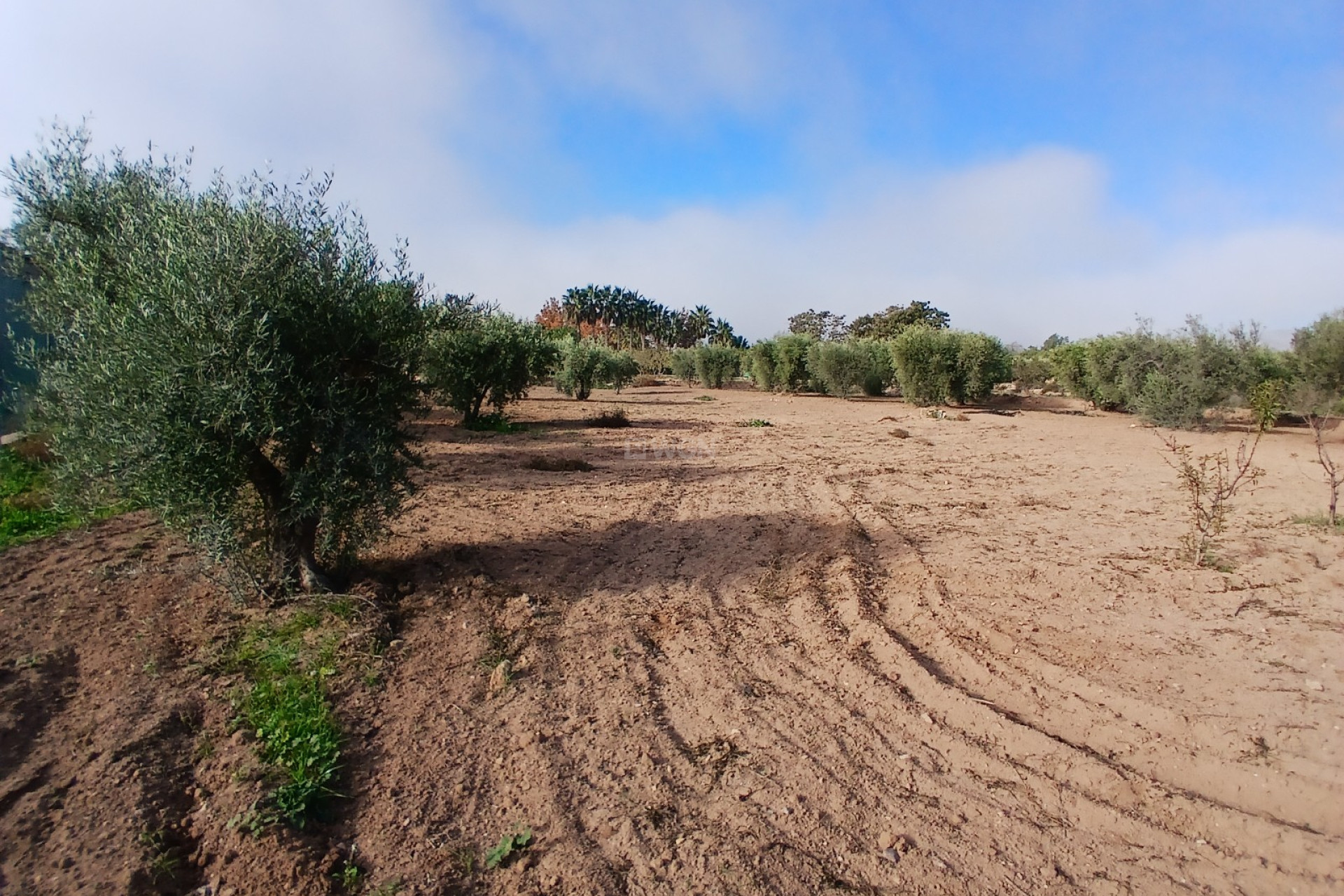 Odsprzedaż - Country House - Jumilla - Inland