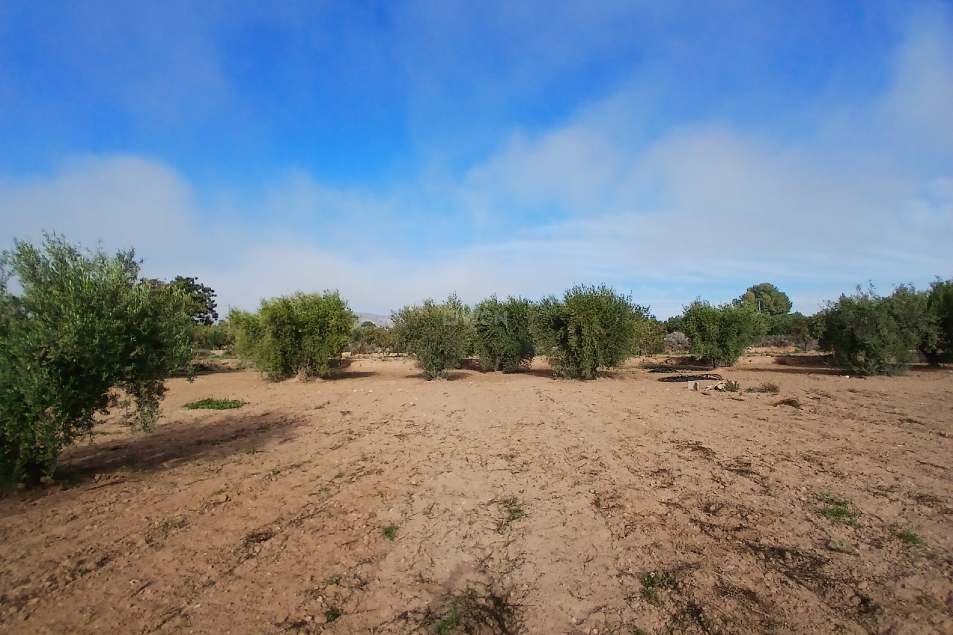 Odsprzedaż - Country House - Jumilla - Inland