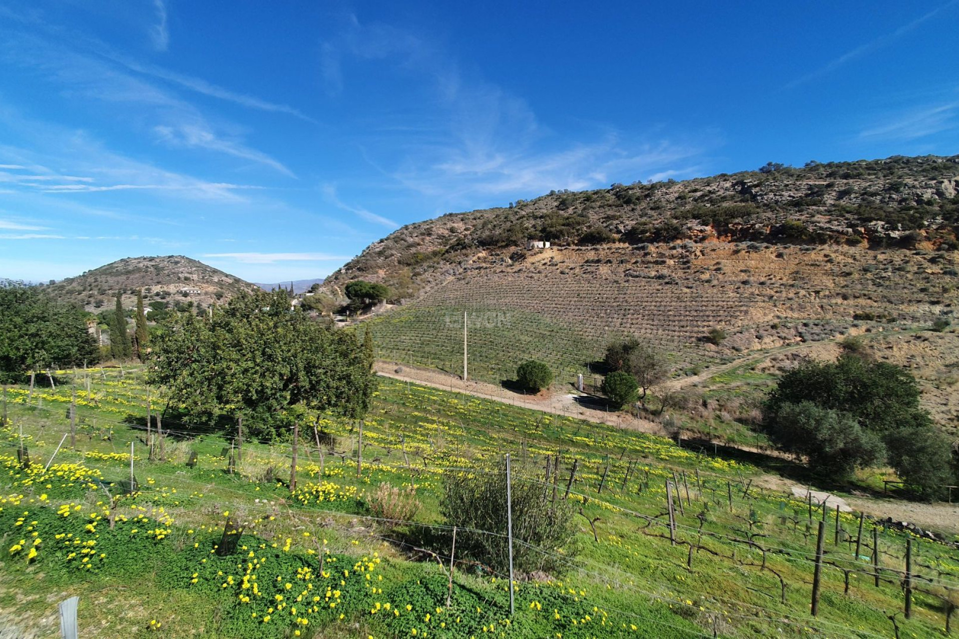 Odsprzedaż - Country House - Málaga - Costa del Sol