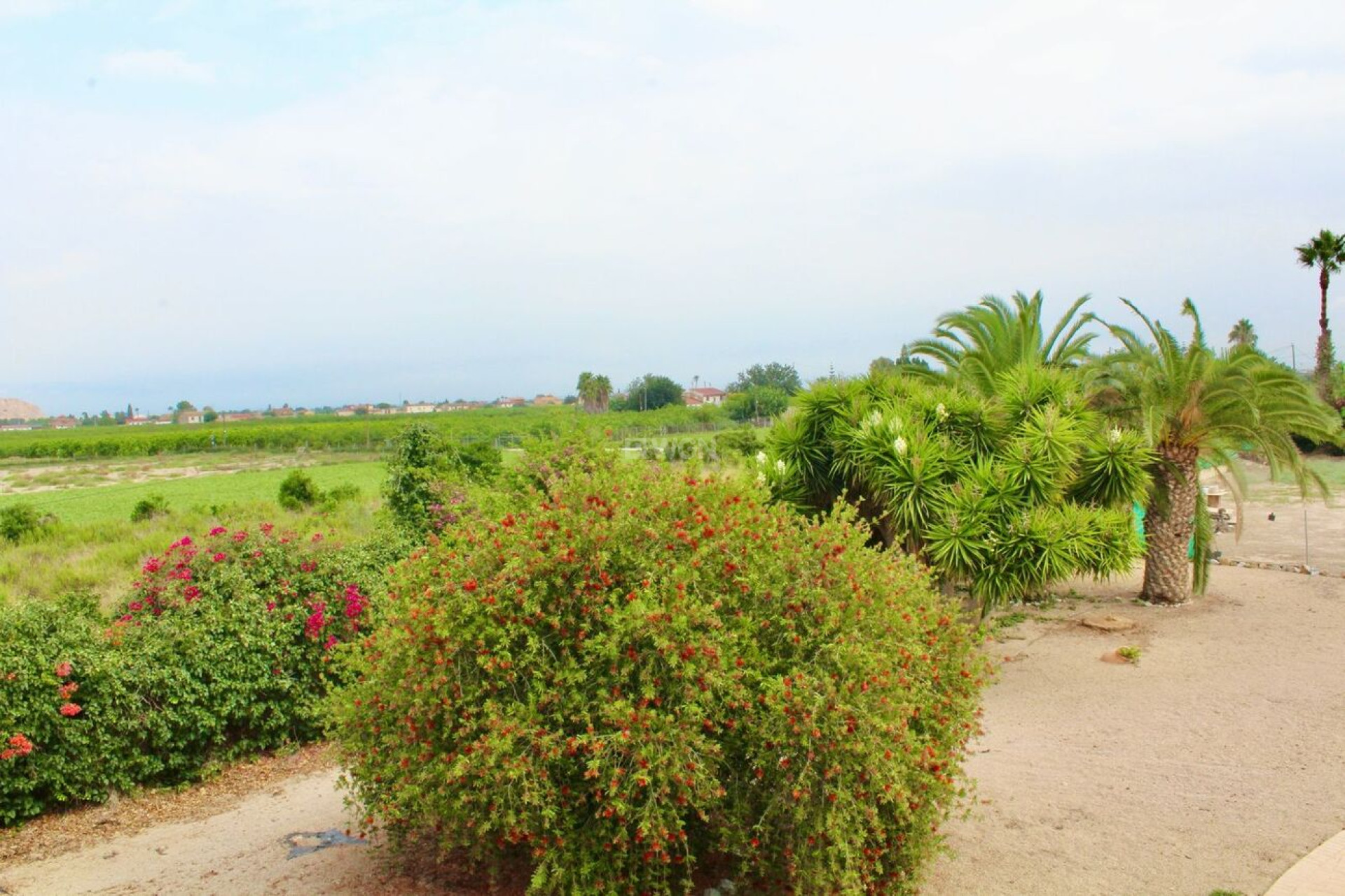 Odsprzedaż - Country House - Orihuela - Campaneneta