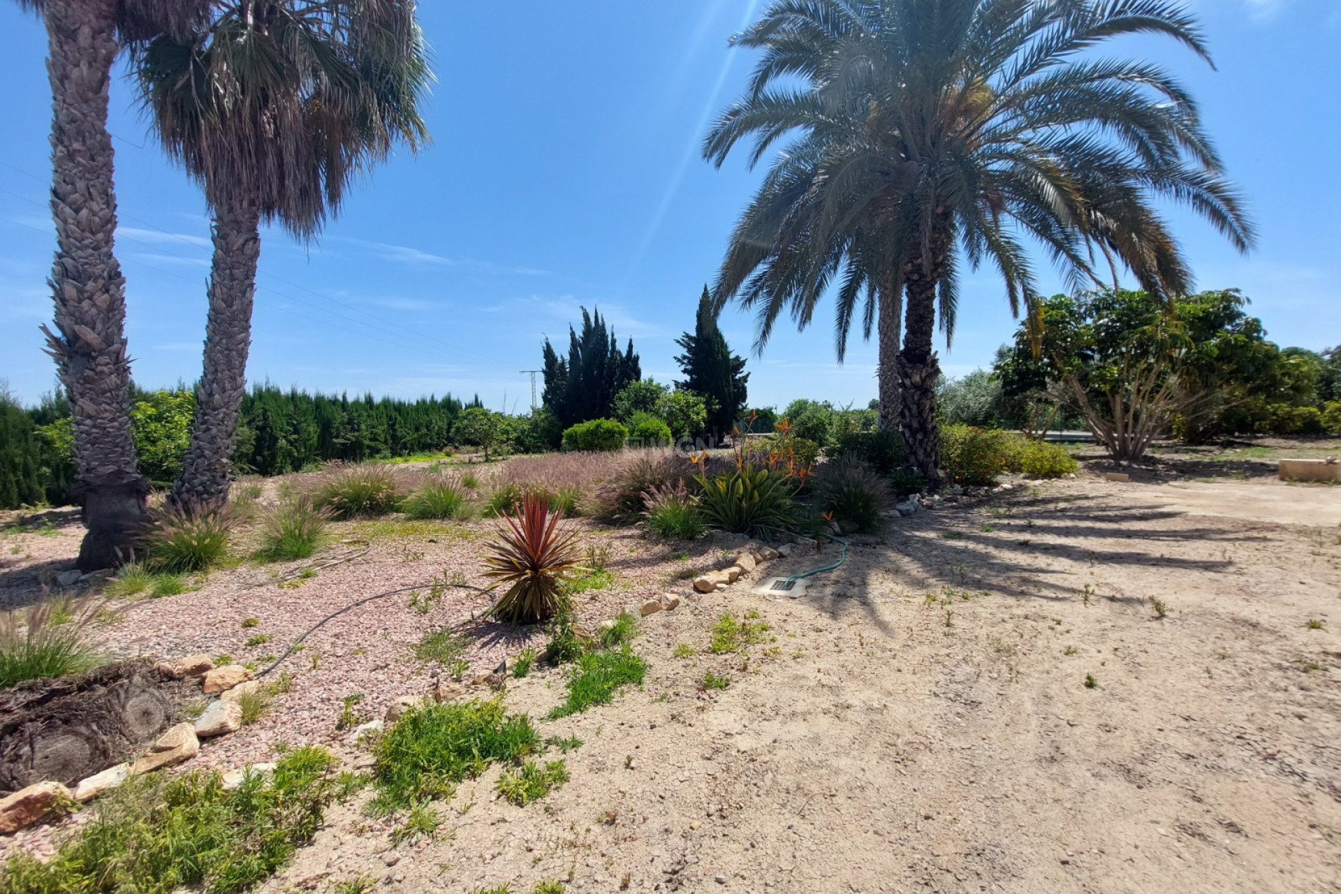 Odsprzedaż - Country House - San Miguel de Salinas - Inland