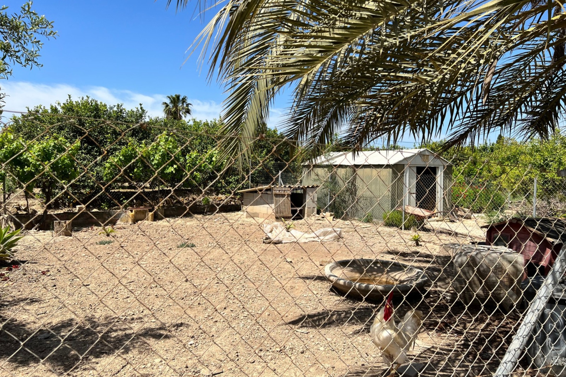 Odsprzedaż - Country House - San Miguel de Salinas - Inland