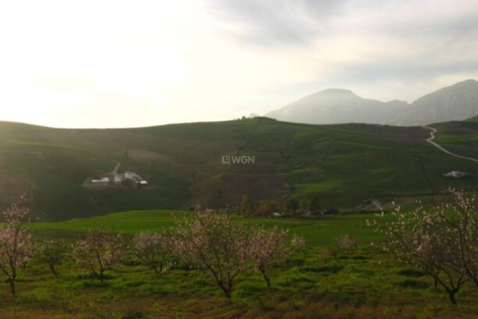 Odsprzedaż - Country House - Valle de Abdalajis - Inland