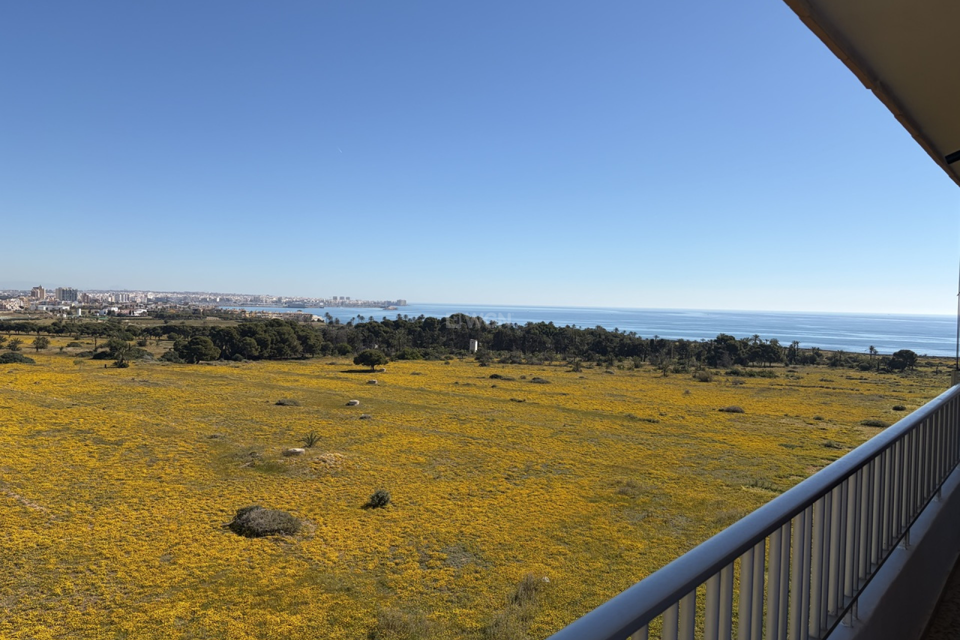 Odsprzedaż - Daszek - Punta Prima - Costa Blanca