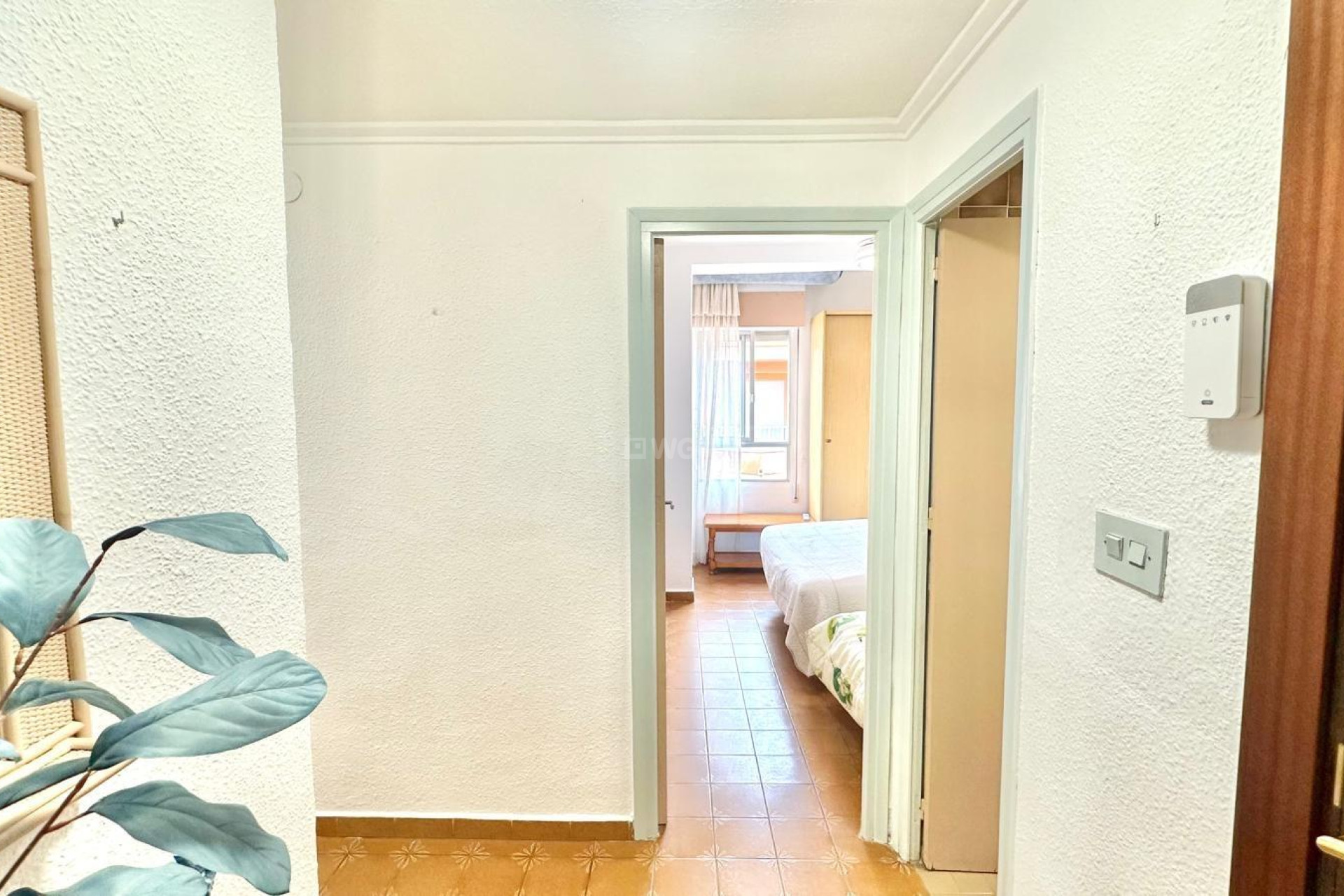 Odsprzedaż - Daszek - Torrevieja - Centro