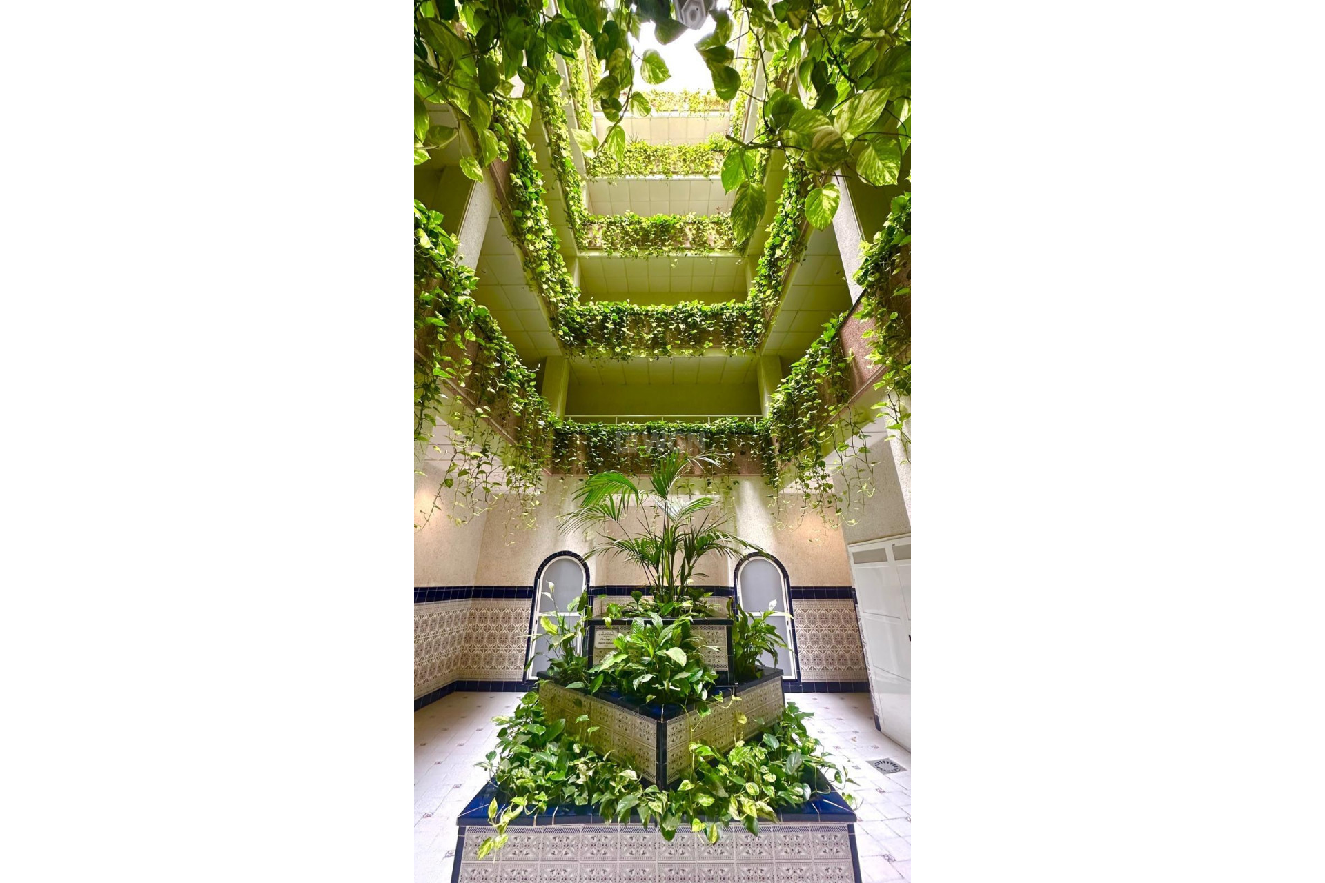 Odsprzedaż - Daszek - Torrevieja - Centro