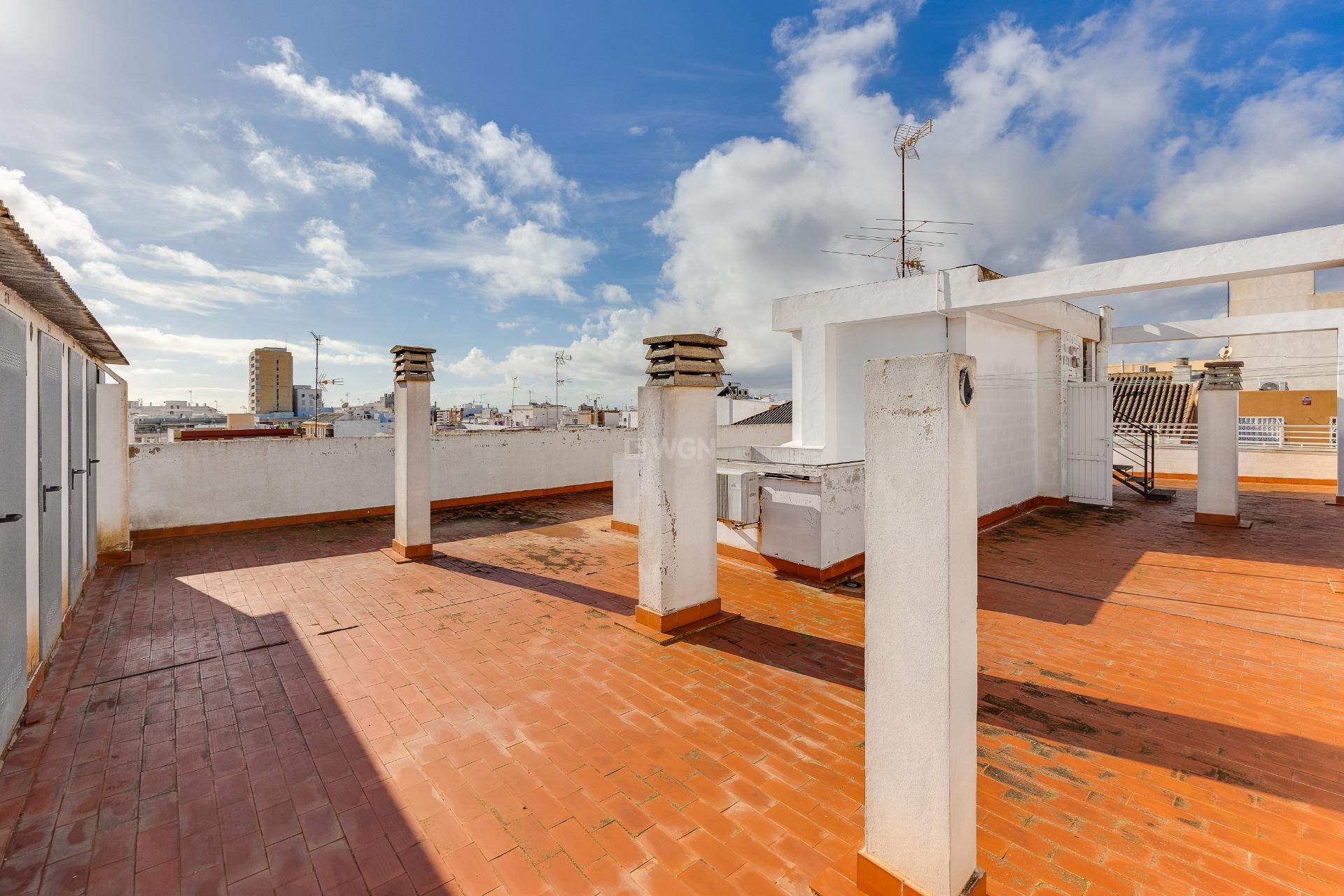 Odsprzedaż - Daszek - Torrevieja - Paseo Maritimo