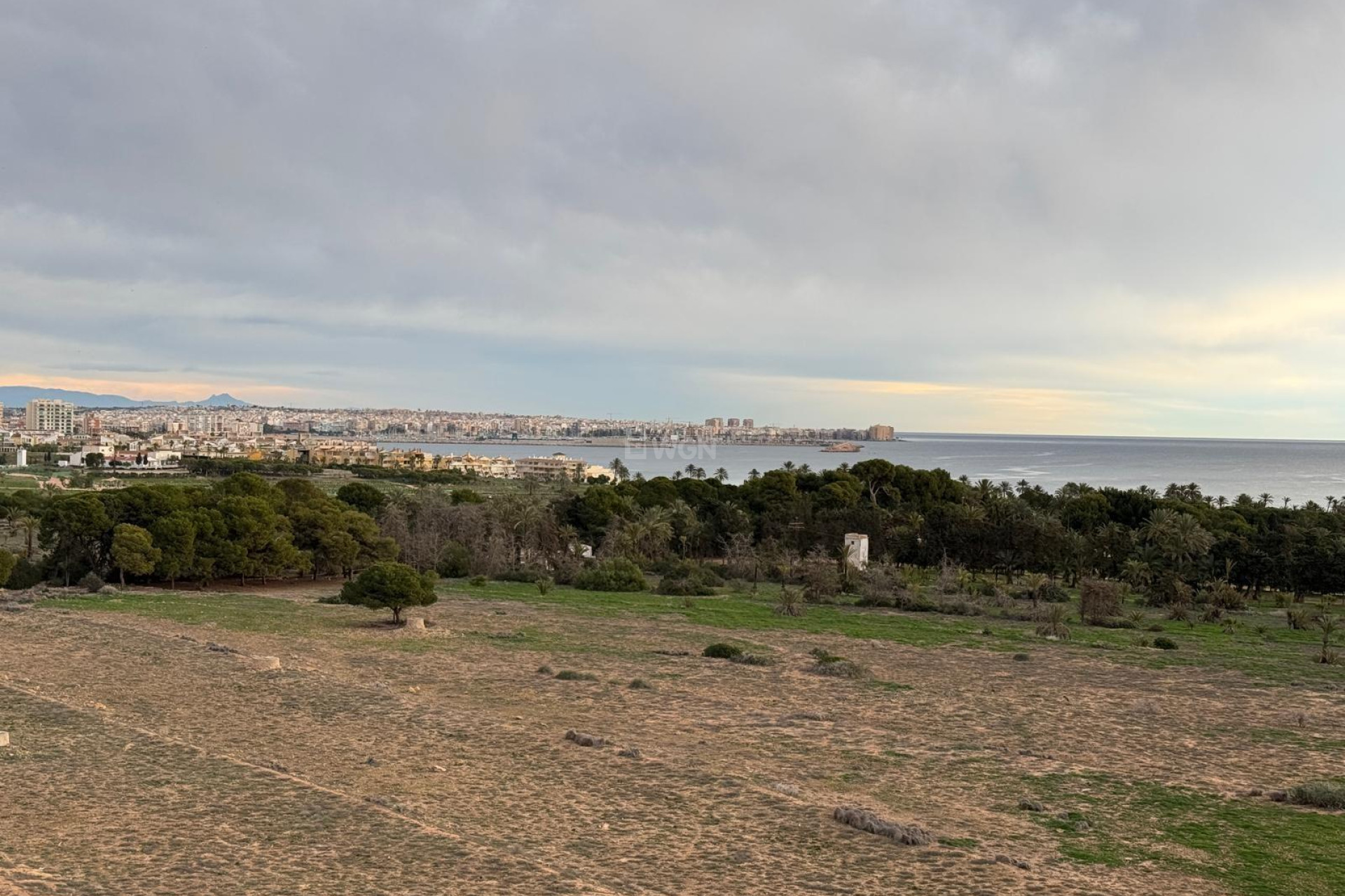 Odsprzedaż - Daszek - Torrevieja - Punta Prima