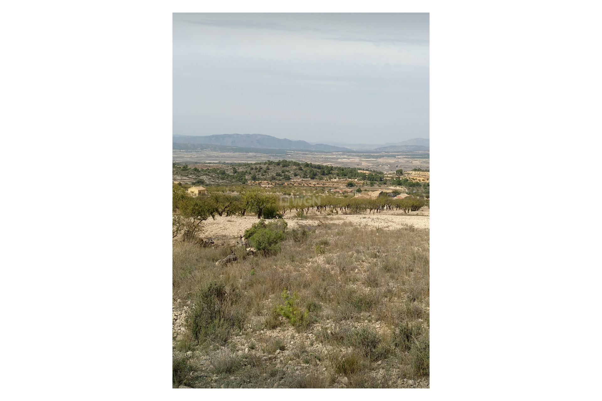 Odsprzedaż - Działka / Grunt - Abanilla - Inland