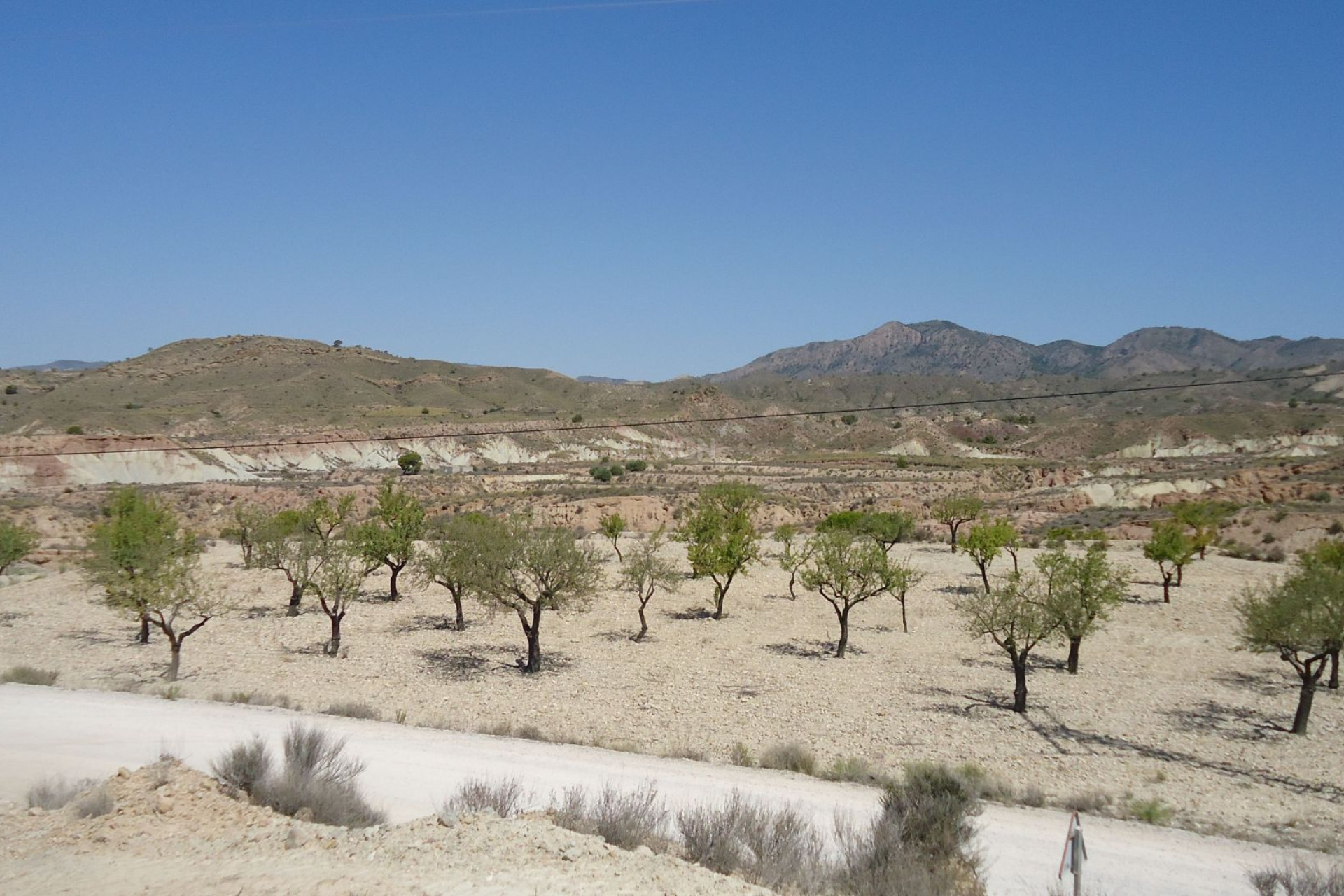 Odsprzedaż - Działka / Grunt - Abanilla - Inland