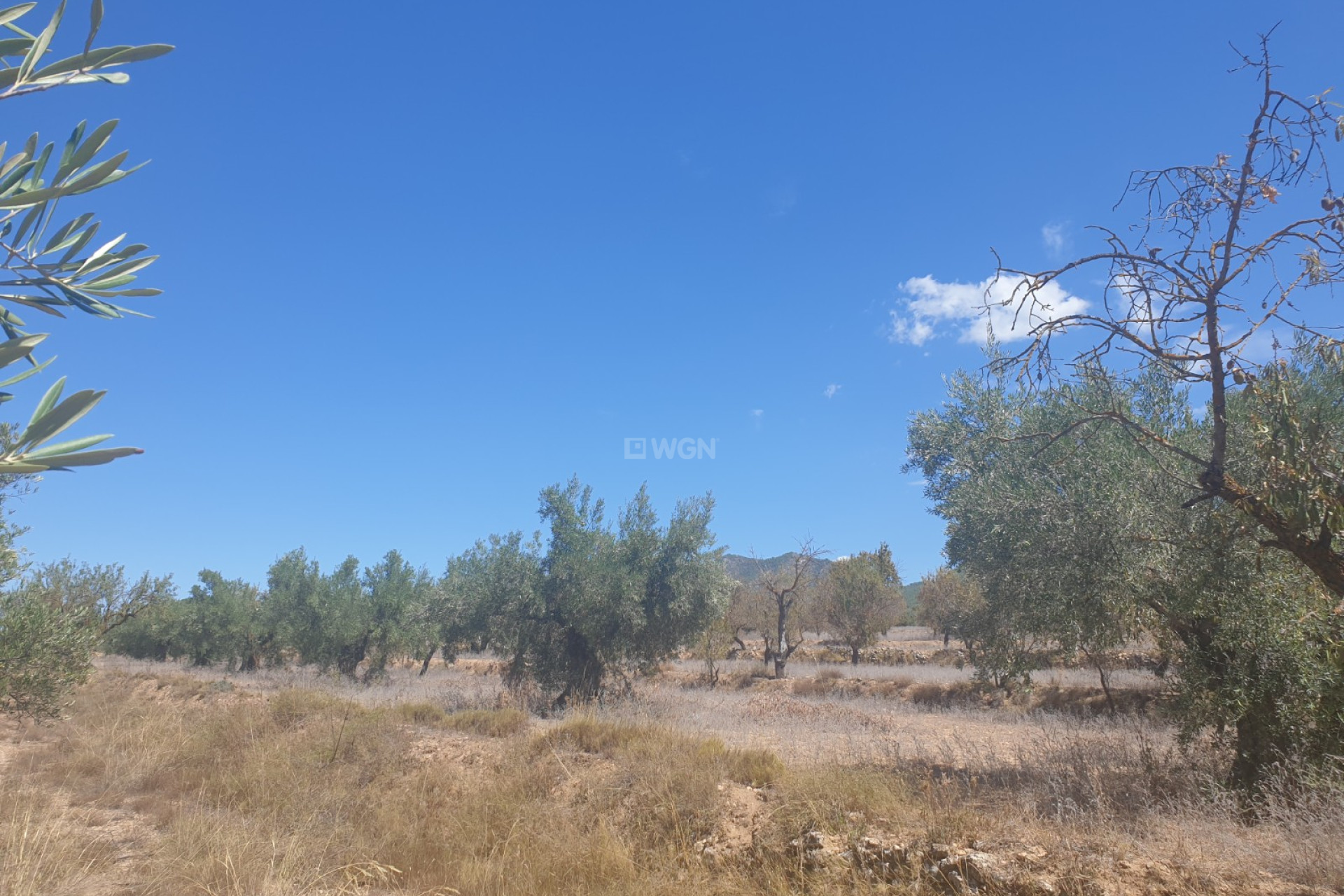 Odsprzedaż - Działka / Grunt - Biar - Inland