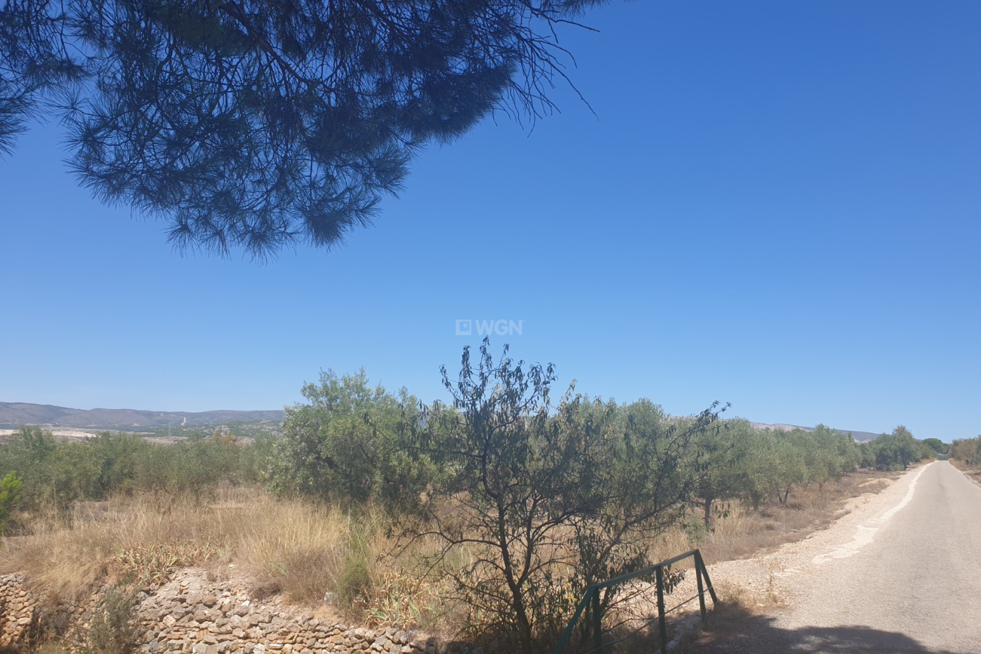 Odsprzedaż - Działka / Grunt - Biar - Inland