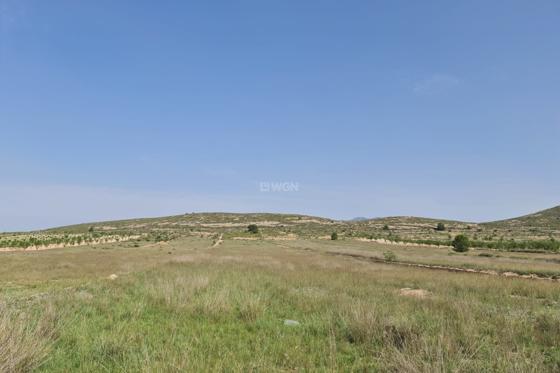 Odsprzedaż - Działka / Grunt - Jumilla - Inland