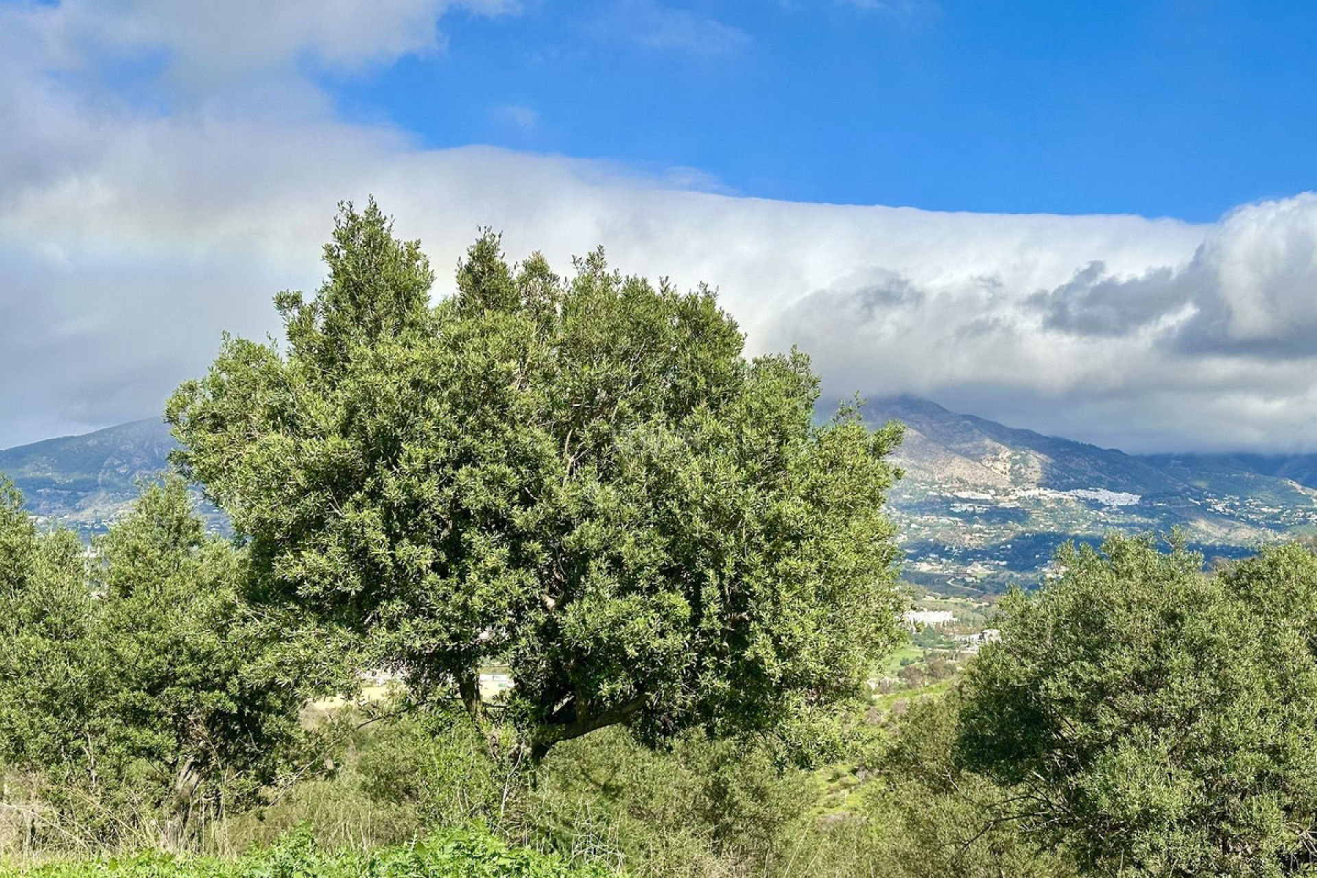 Odsprzedaż - Działka / Grunt - La Cala de Mijas - Costa del Sol