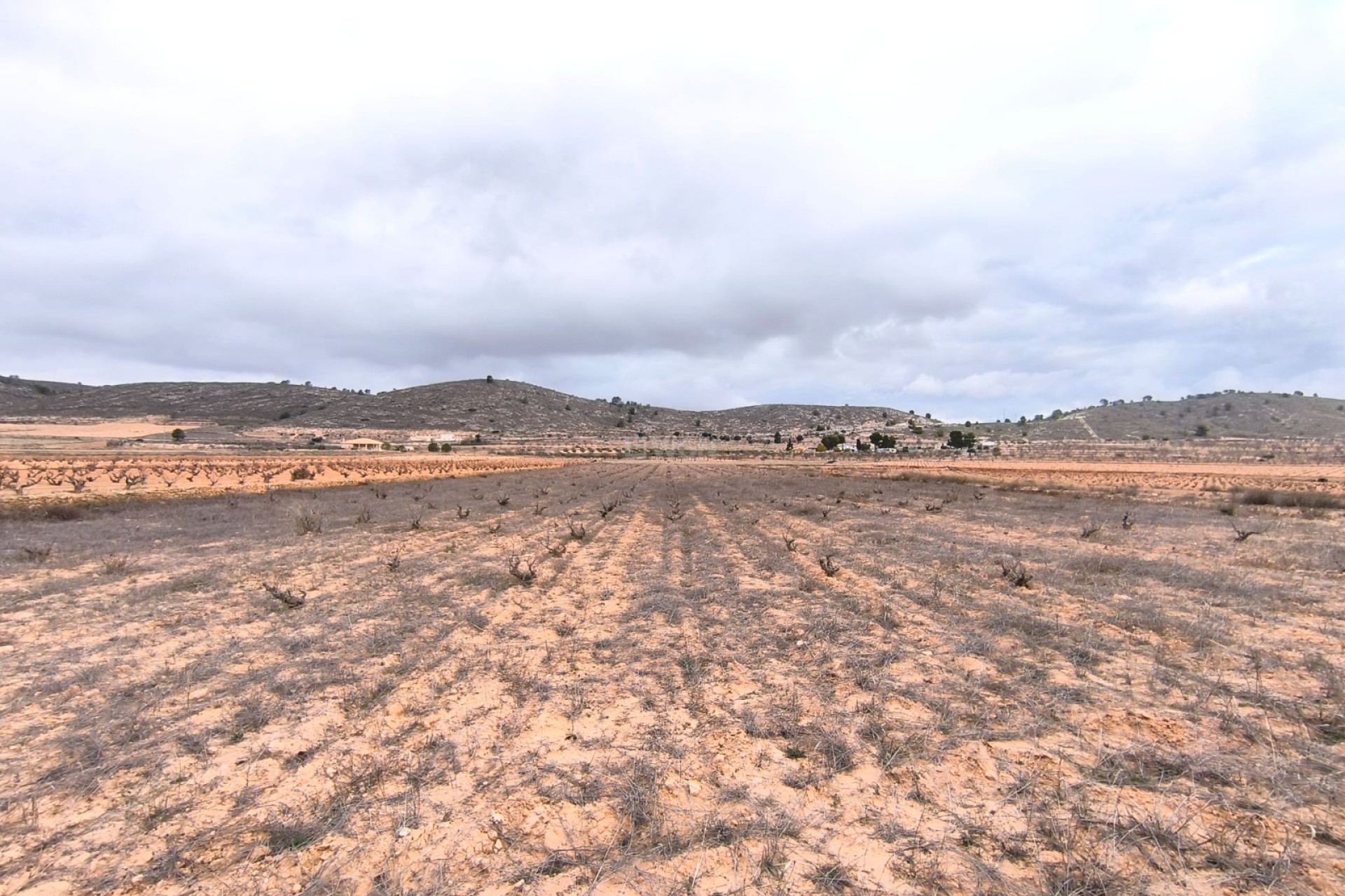 Odsprzedaż - Działka / Grunt - La Solana