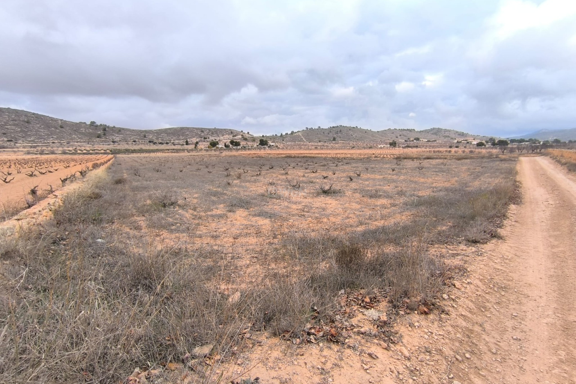 Odsprzedaż - Działka / Grunt - La Solana