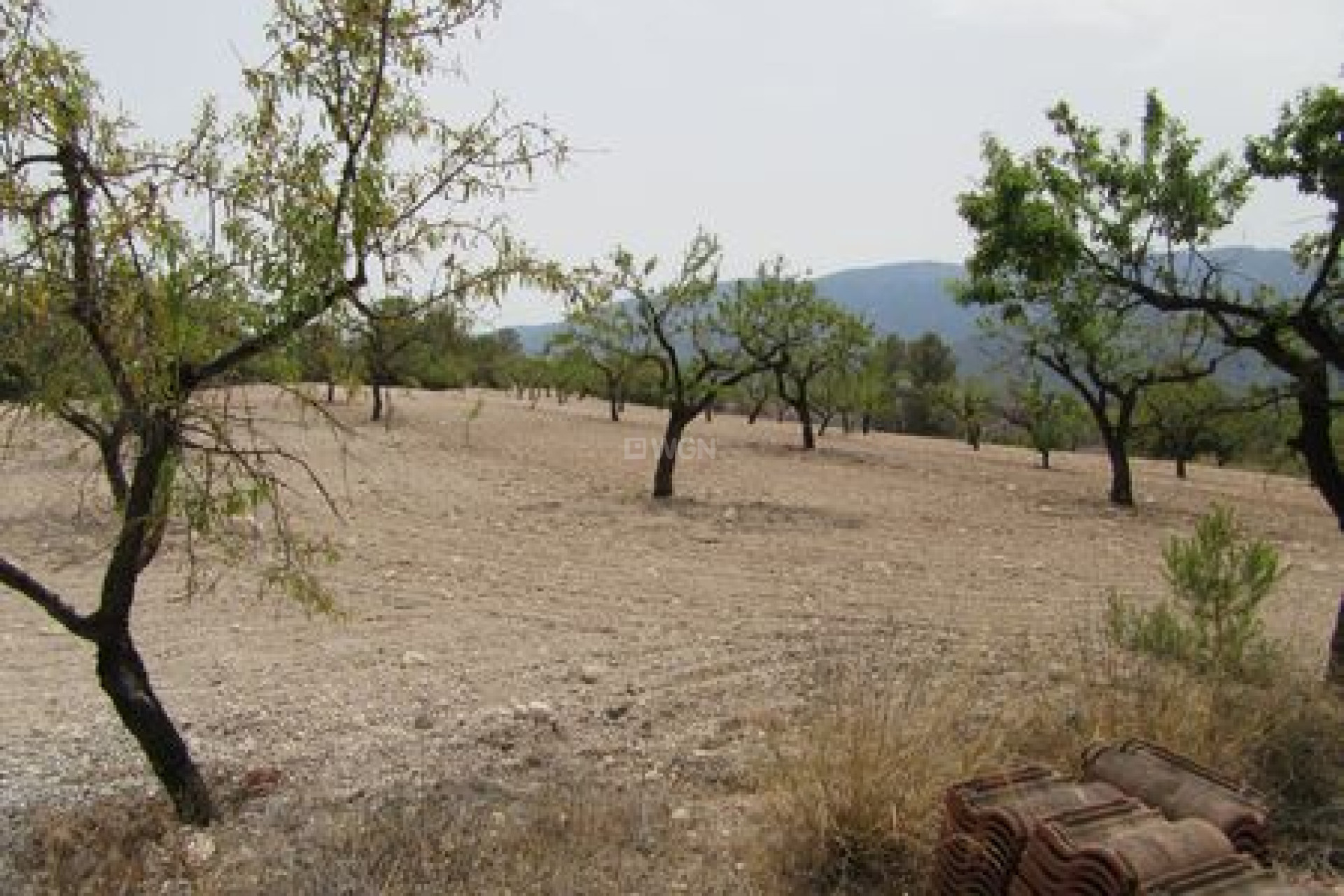 Odsprzedaż - Działka / Grunt - Murcia - Inland