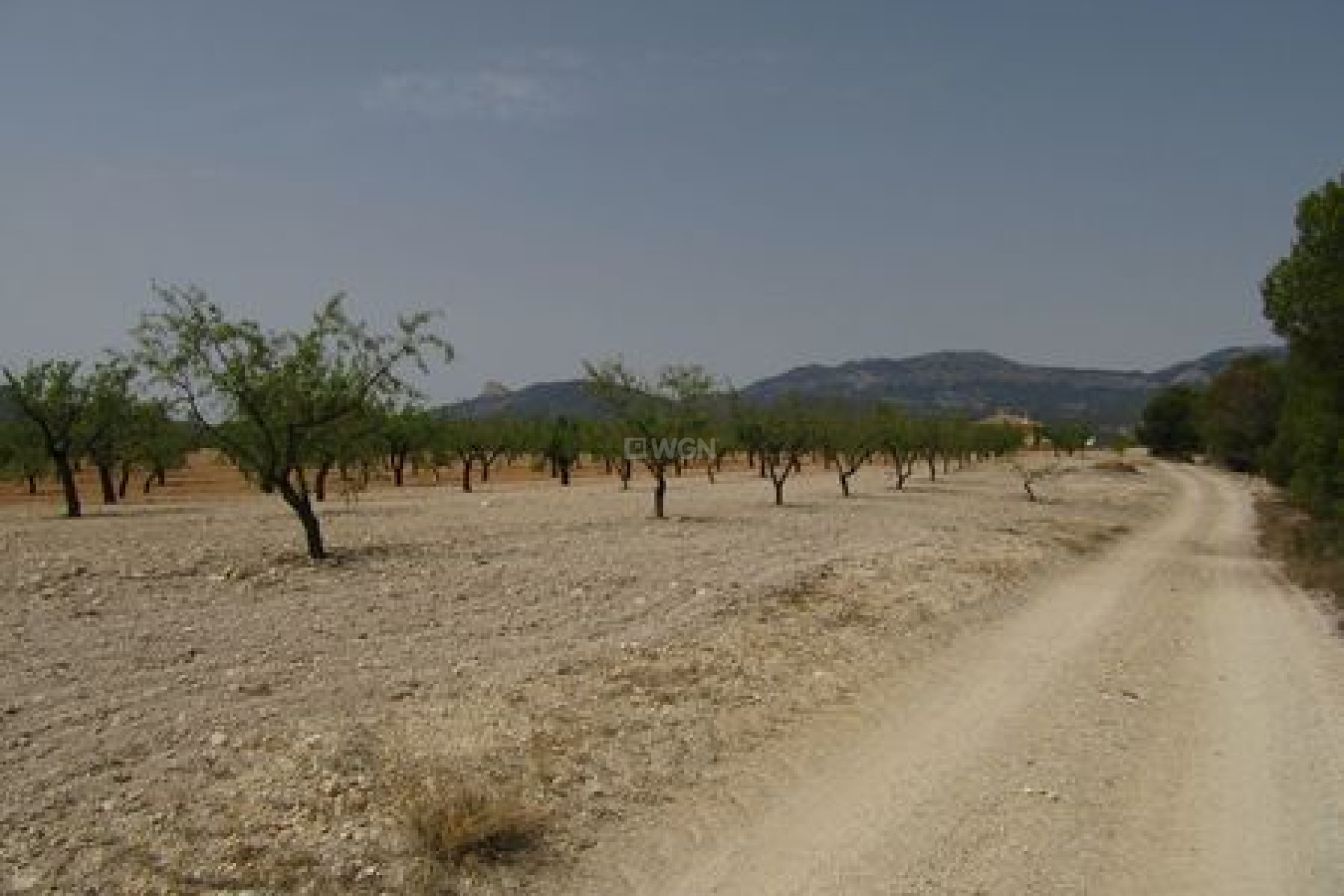 Odsprzedaż - Działka / Grunt - Murcia - Inland
