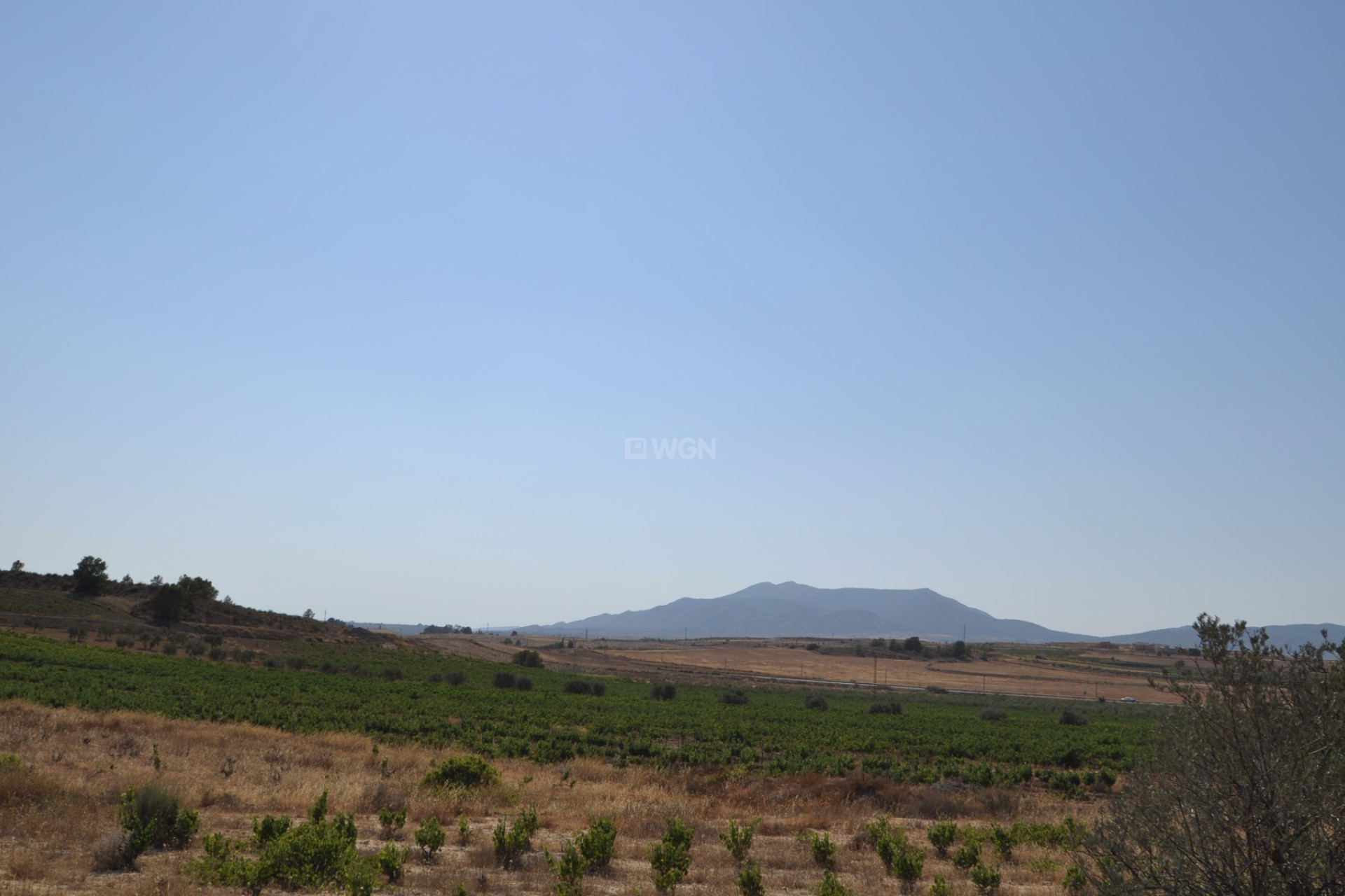 Odsprzedaż - Działka / Grunt - Pinoso - Inland