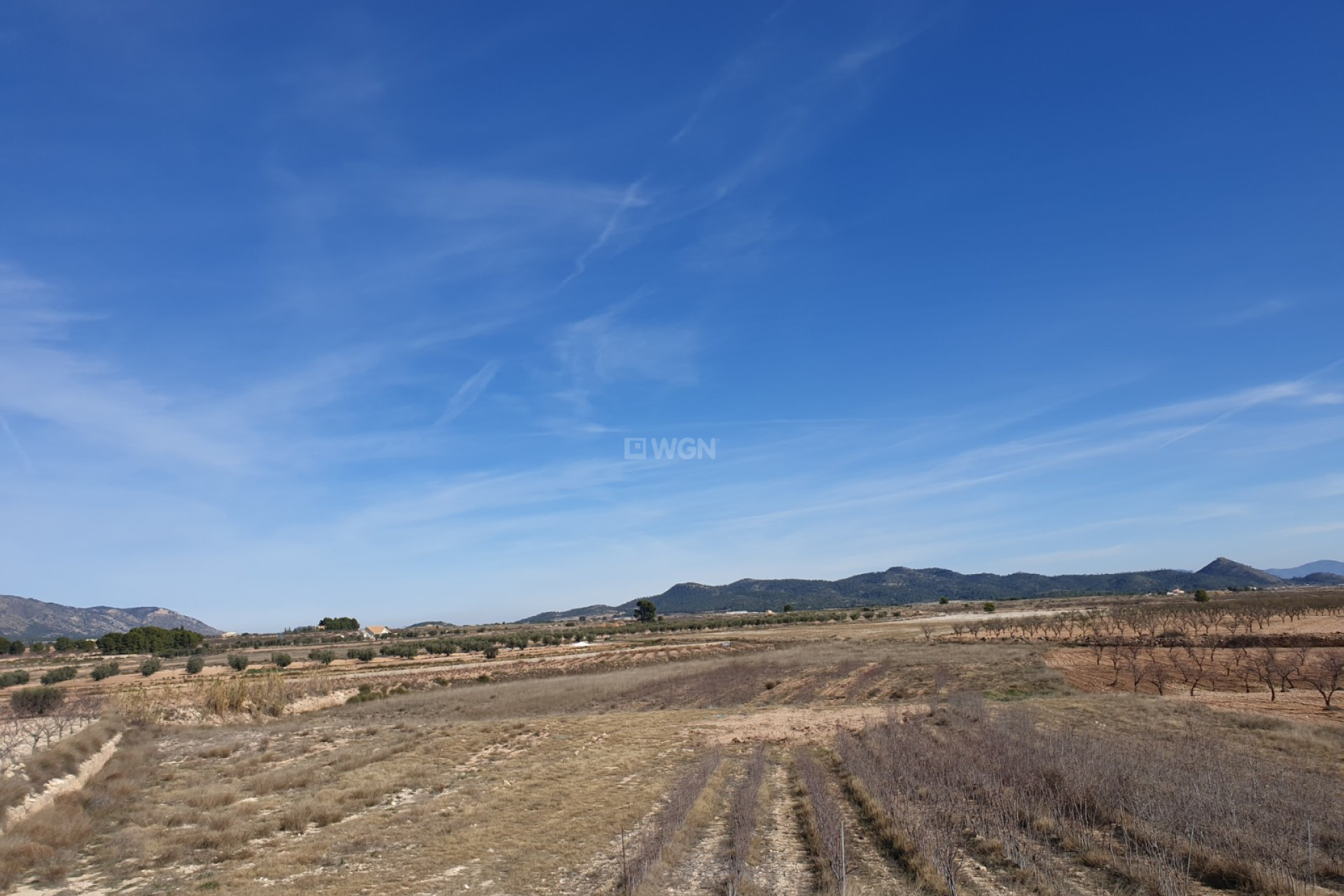 Odsprzedaż - Działka / Grunt - Pinoso - Inland