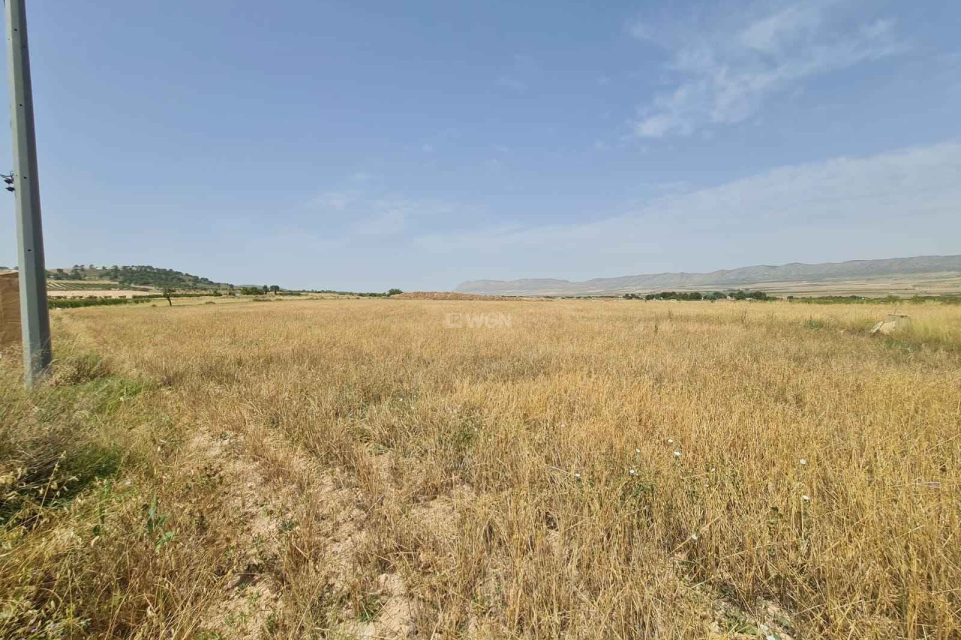 Odsprzedaż - Działka / Grunt - Yecla - Inland