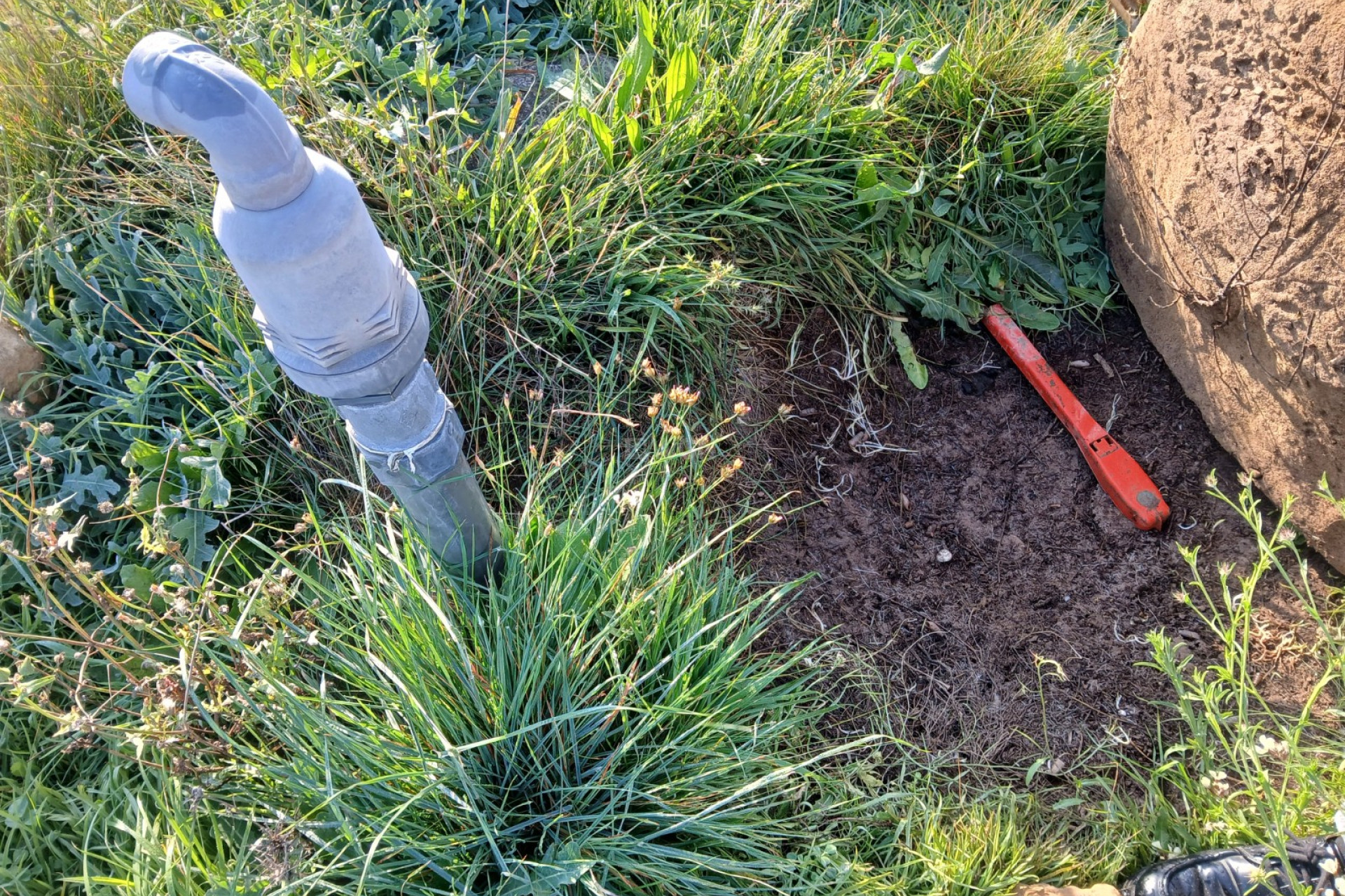 Odsprzedaż - Działka / Grunt - Yecla - Inland