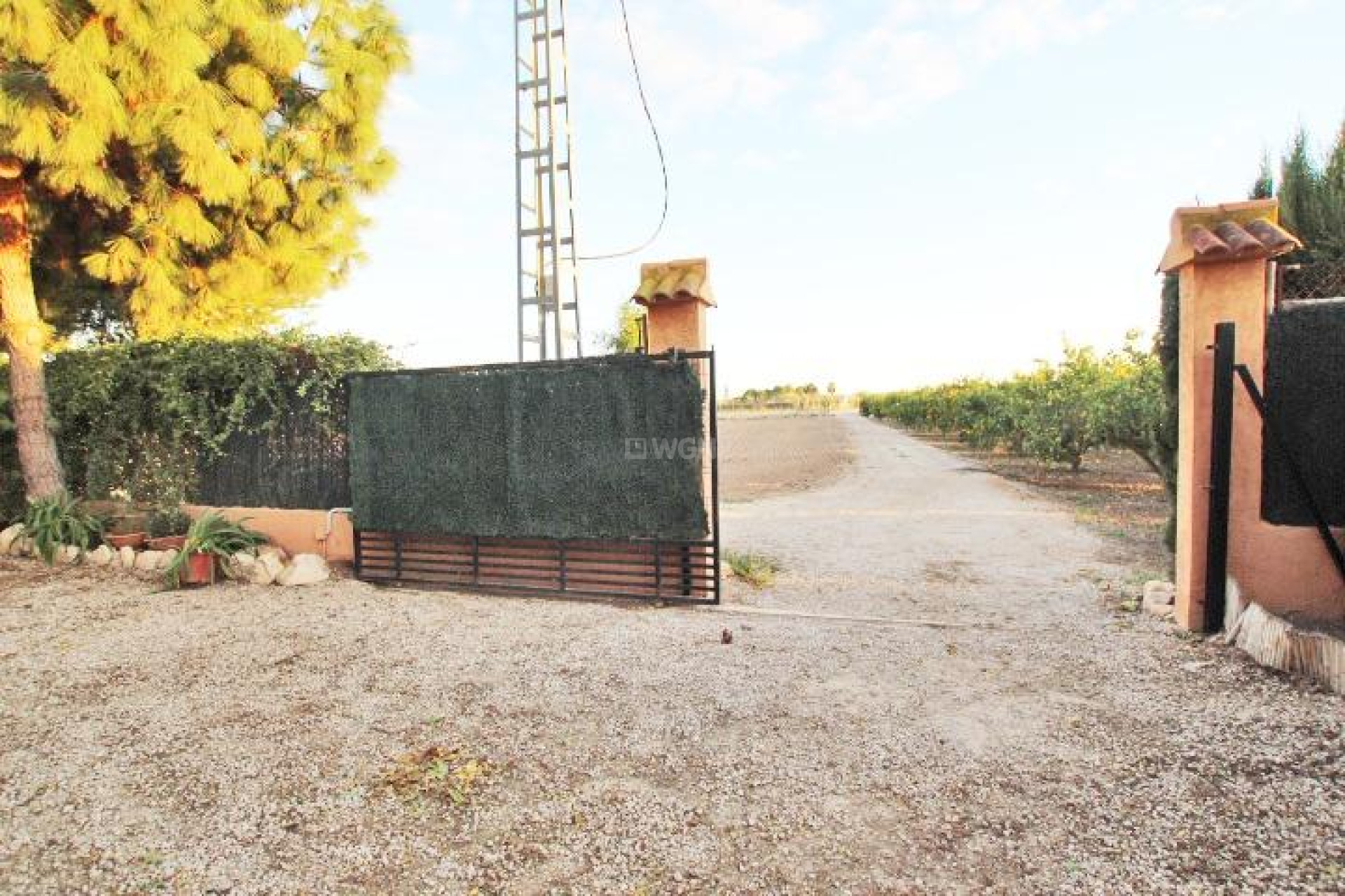 Odsprzedaż - Finca - Almoradí - Comunidad Valenciana