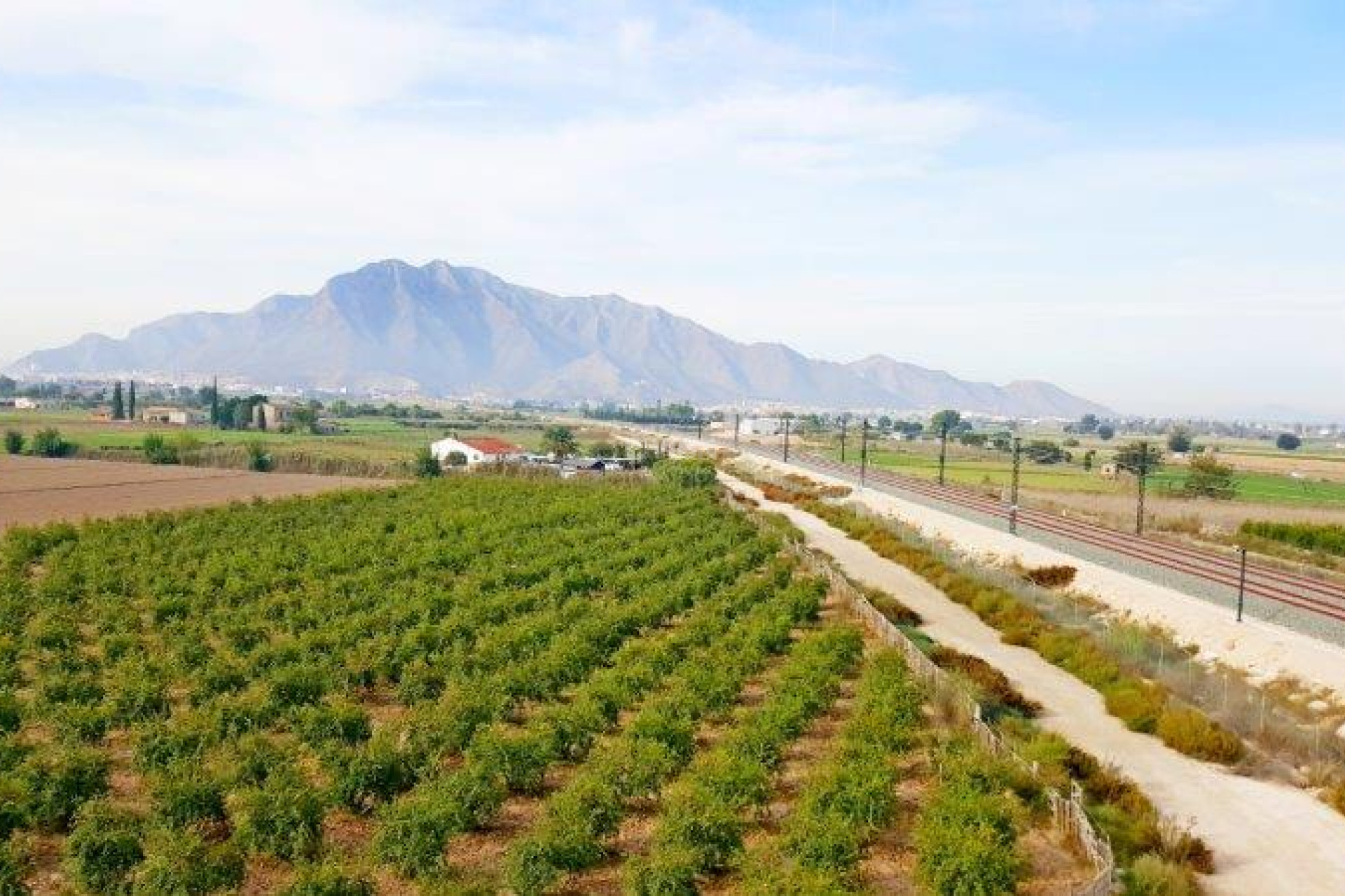 Odsprzedaż - Finca - Callosa de Segura - Inland