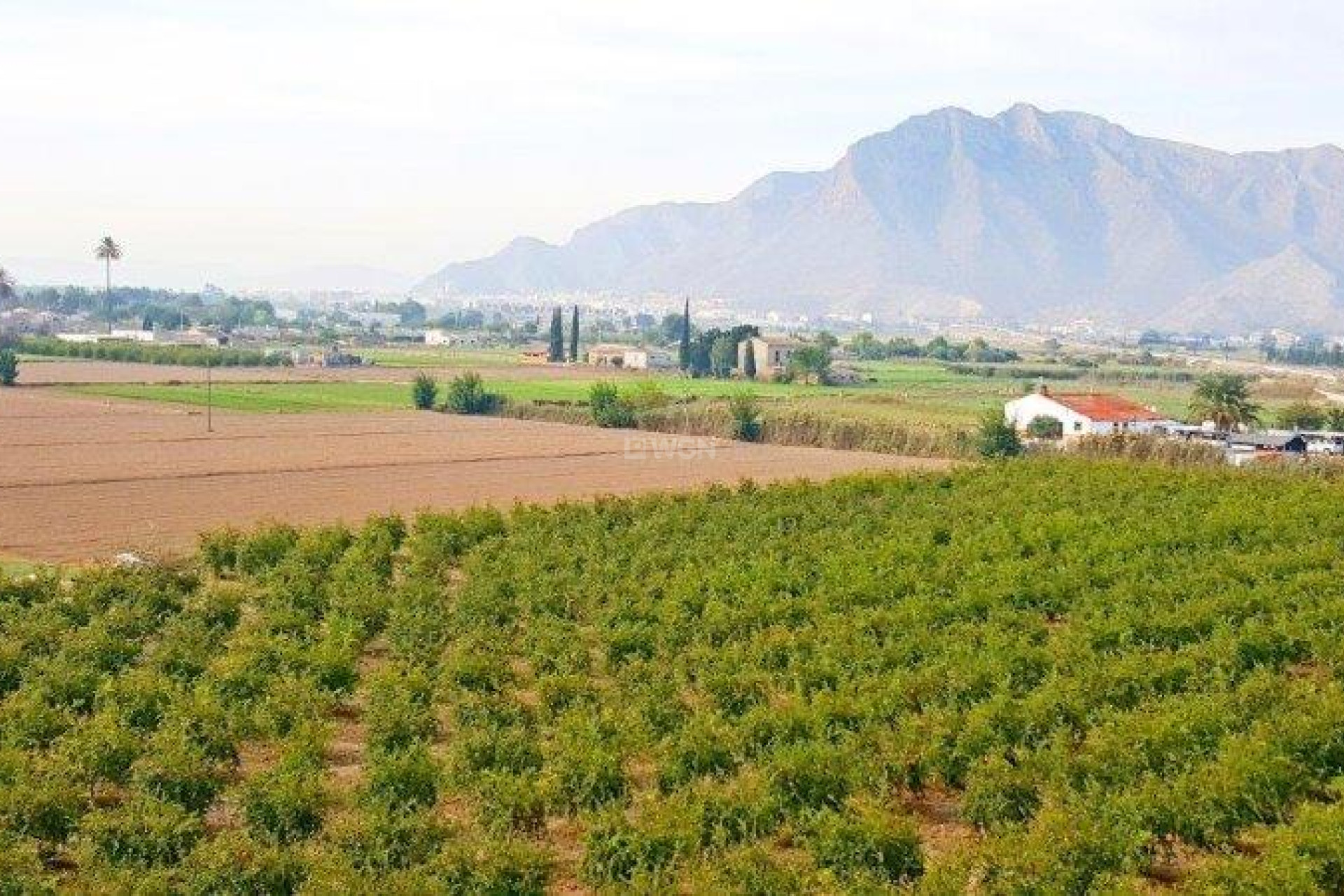 Odsprzedaż - Finca - Callosa de Segura - Inland