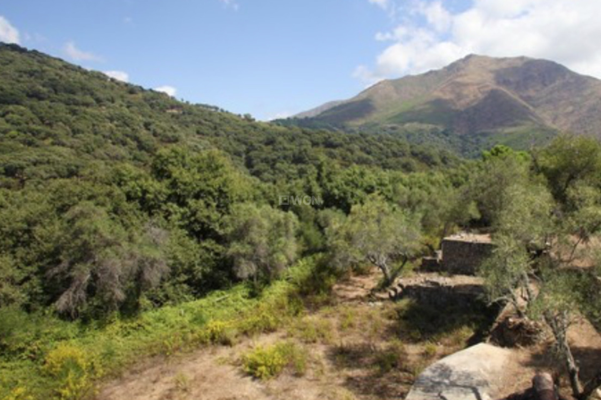 Odsprzedaż - Finca - Casares - Costa del Sol