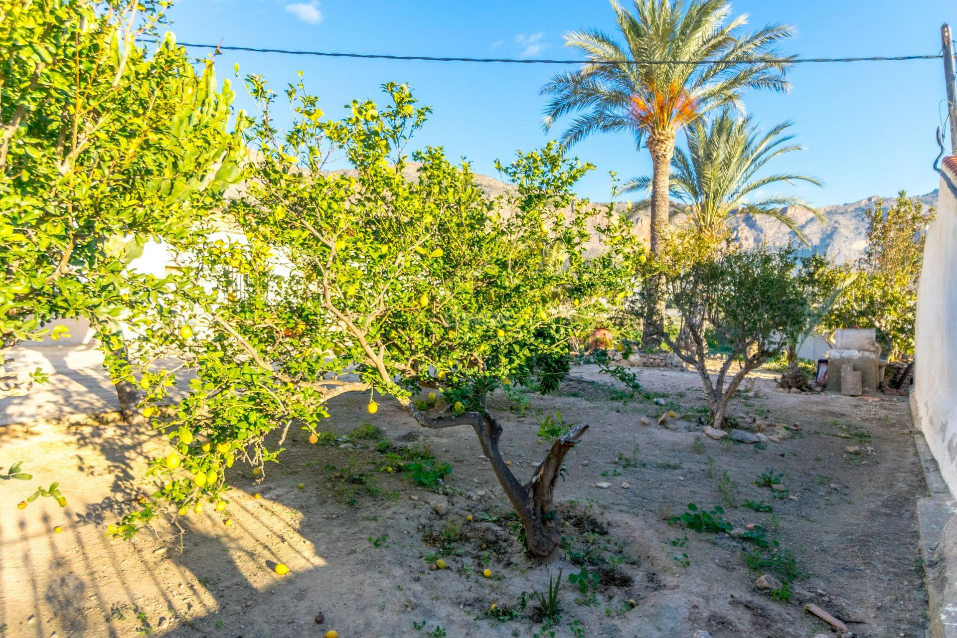 Odsprzedaż - Finca - Orihuela - Raiguero De Bonanza