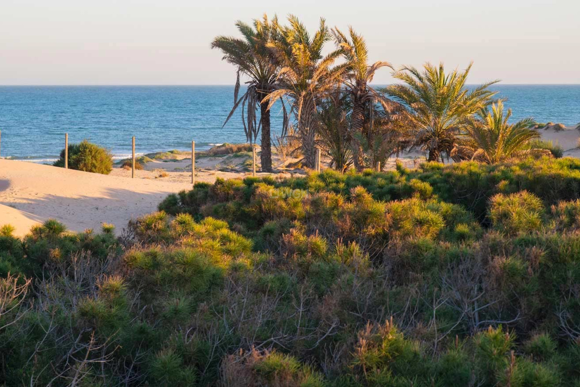 Odsprzedaż - Kamienica - Guardamar del Segura - Costa Blanca
