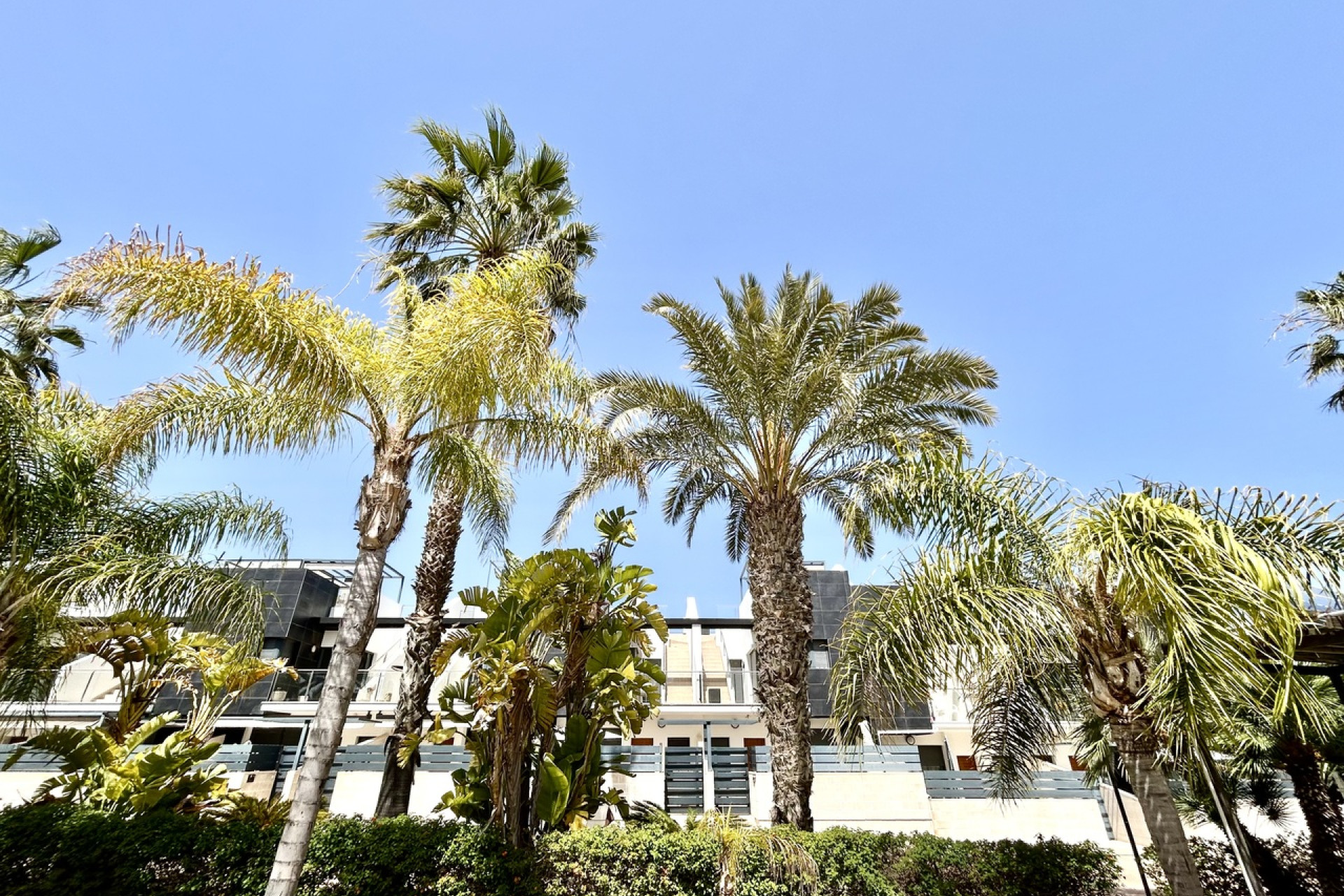 Odsprzedaż - Kamienica - Los Dolses - Inland