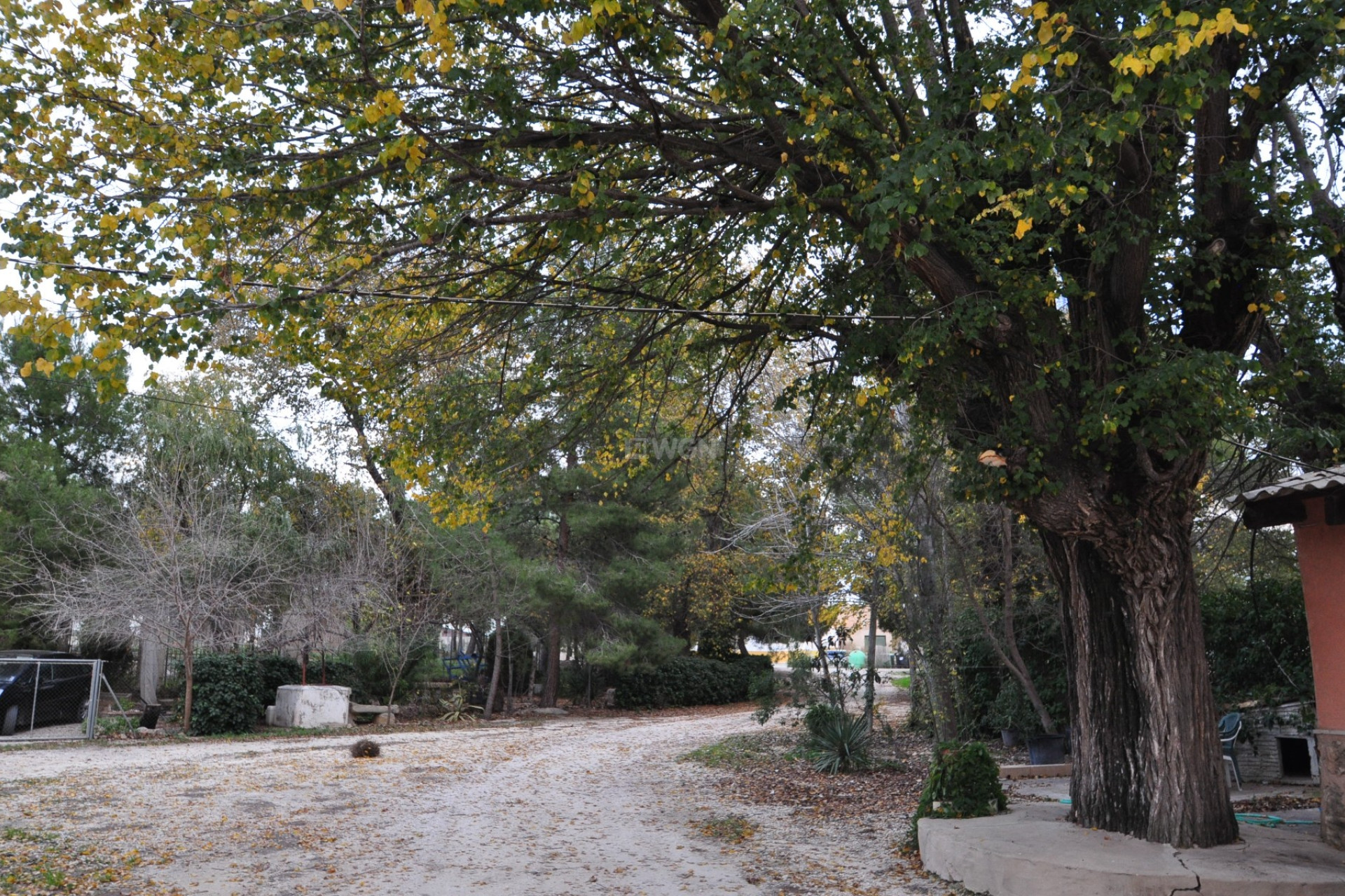 Odsprzedaż - Kamienica - Pinoso - Inland