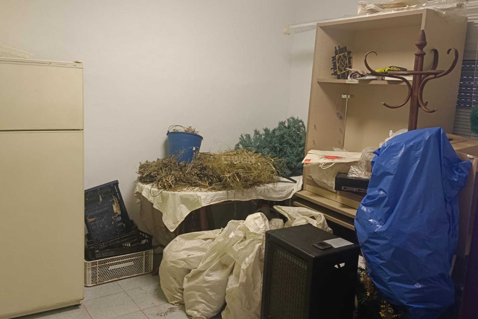 Odsprzedaż - Kamienica - Salinas - Inland