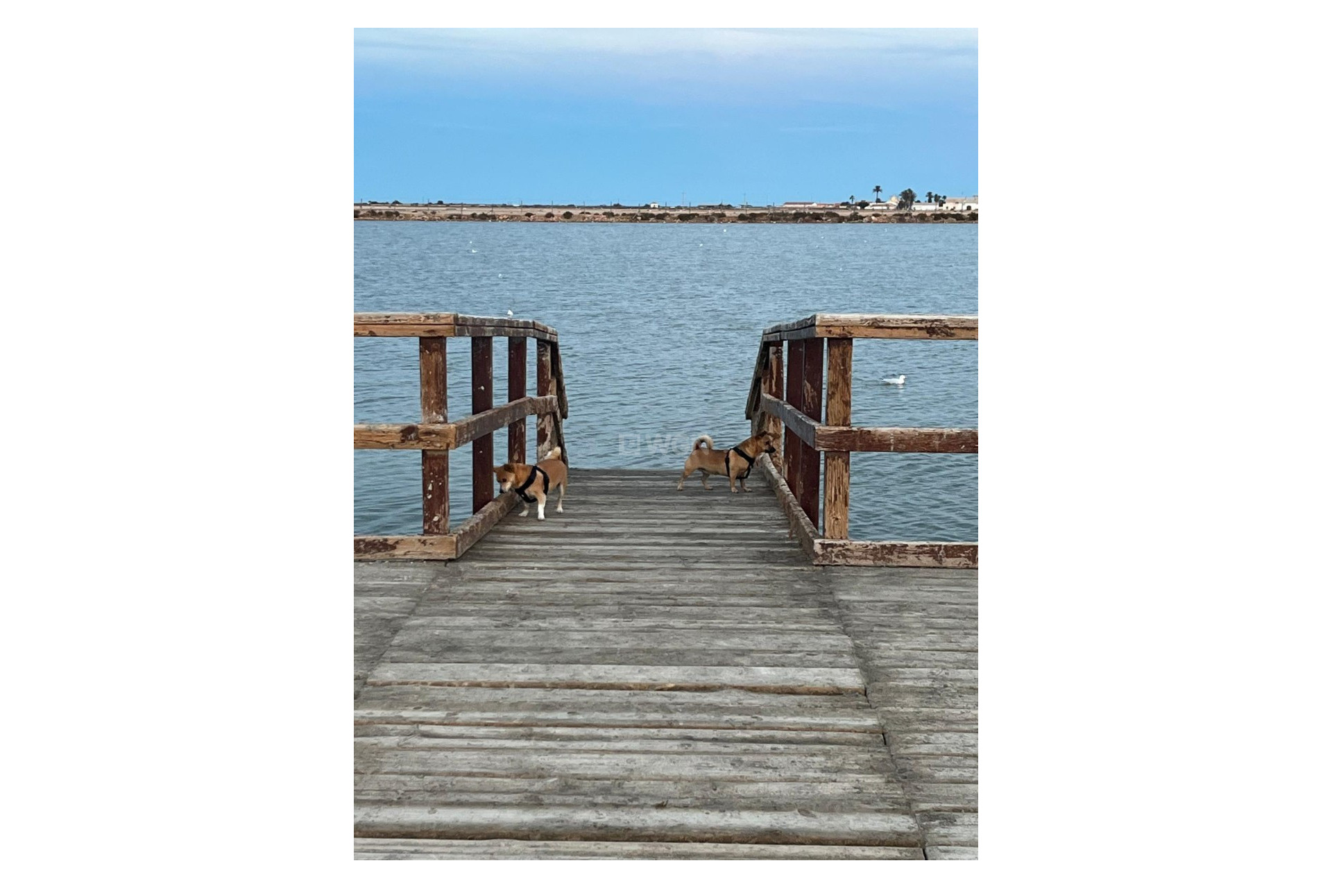 Odsprzedaż - Kamienica - San Pedro del Pinatar - Costa Calida