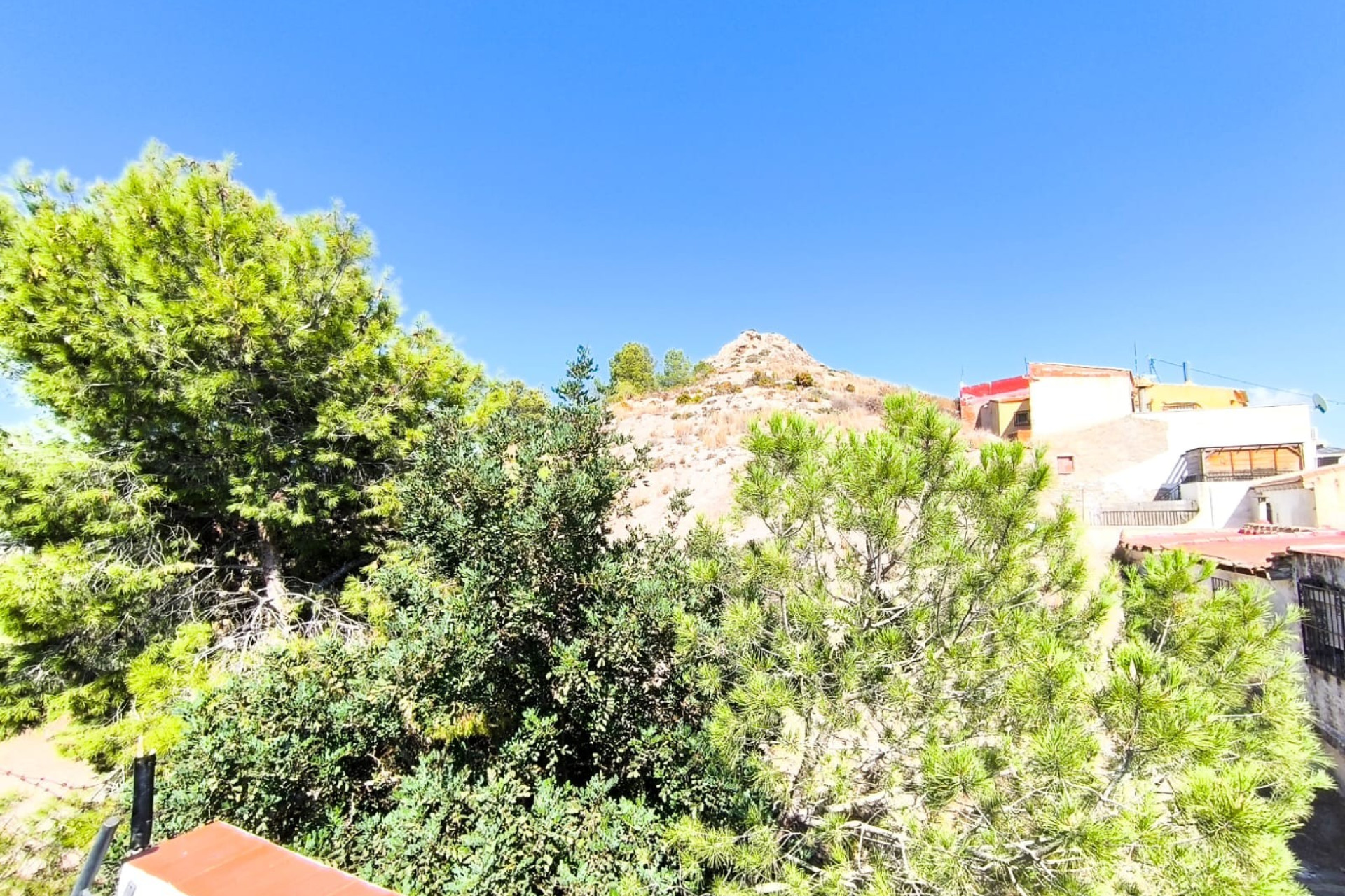 Odsprzedaż - Kamienica - Sax - Inland